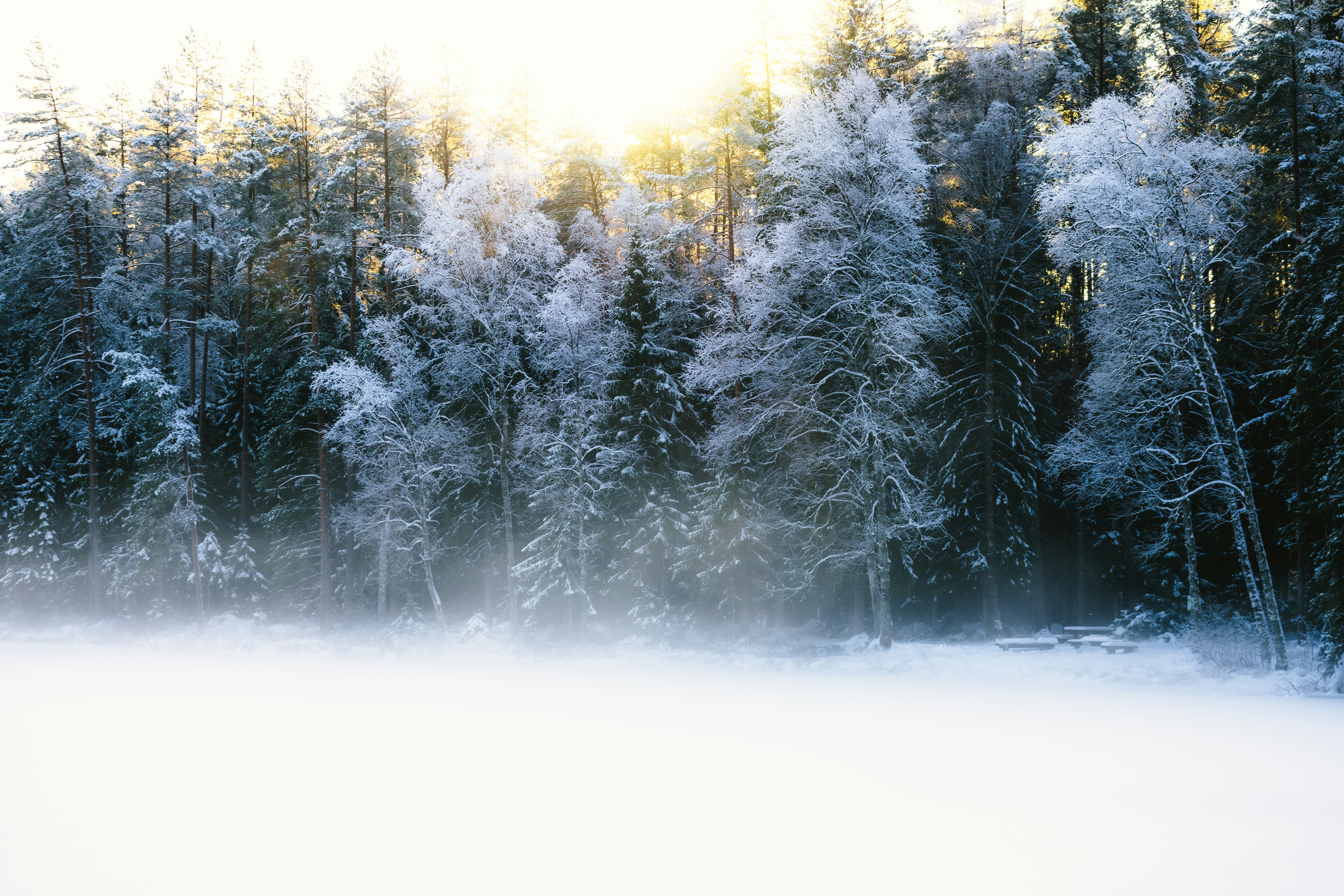 Photo by kristapsungurs