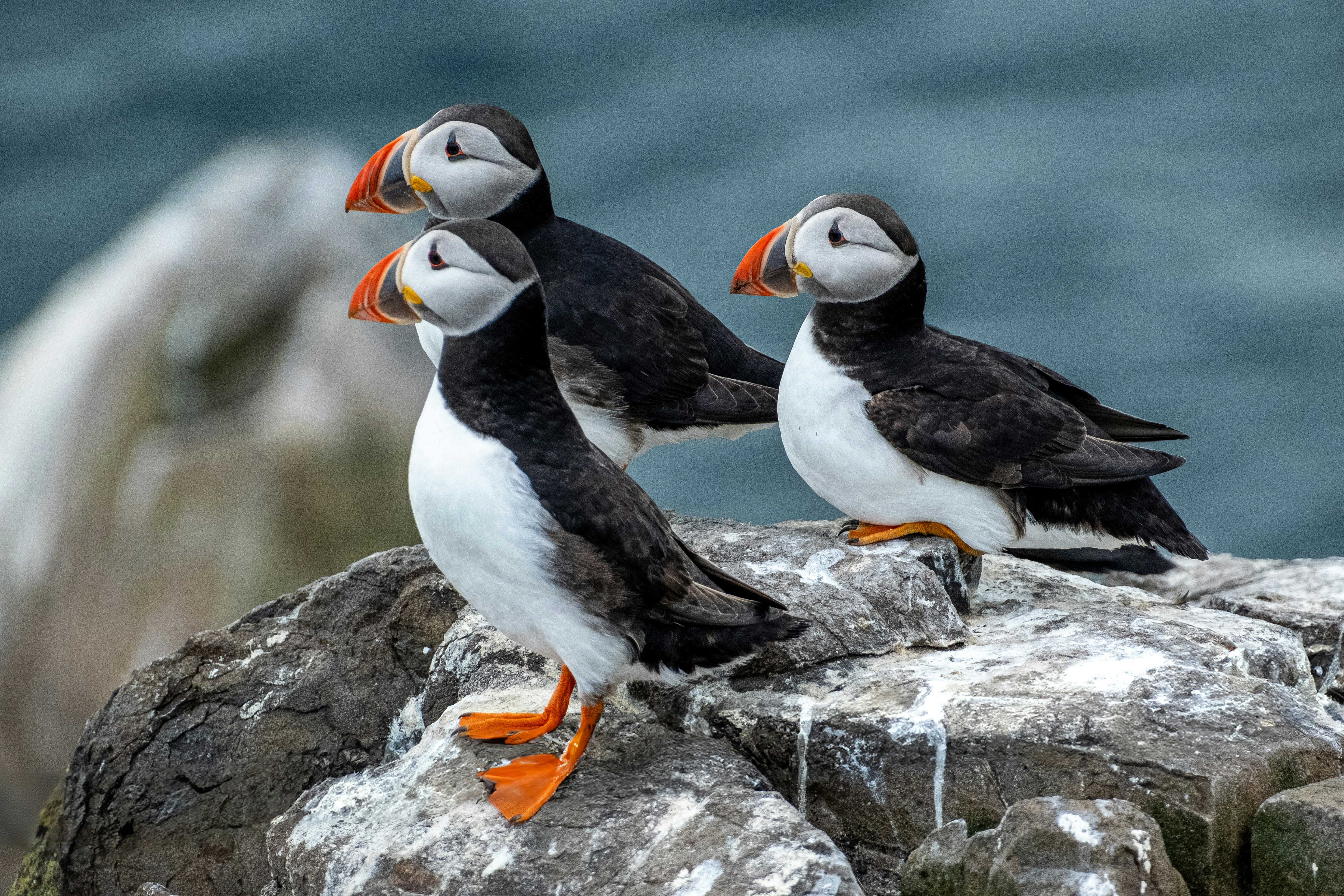 Photo by philrobson100