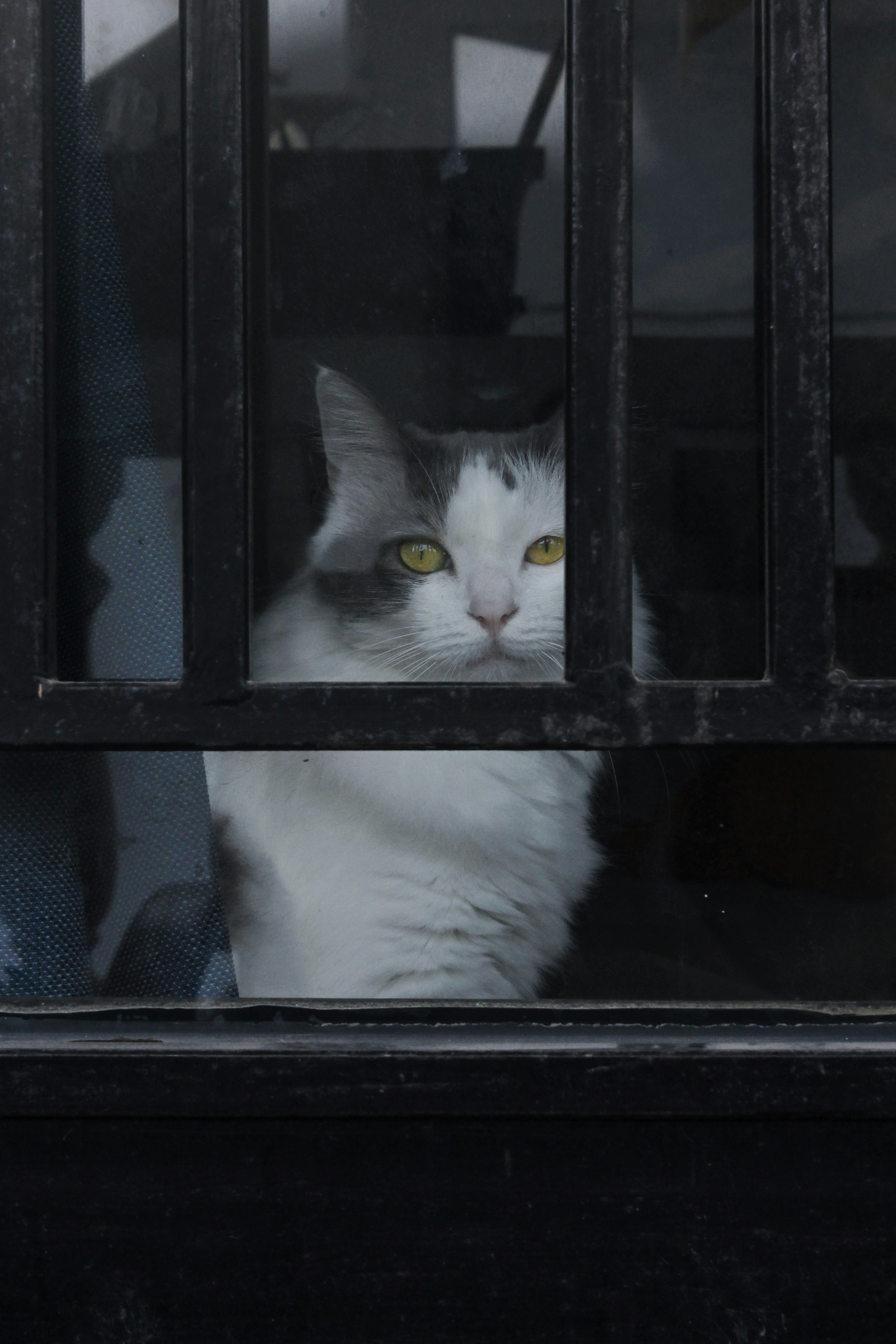 Photo by christellehayek