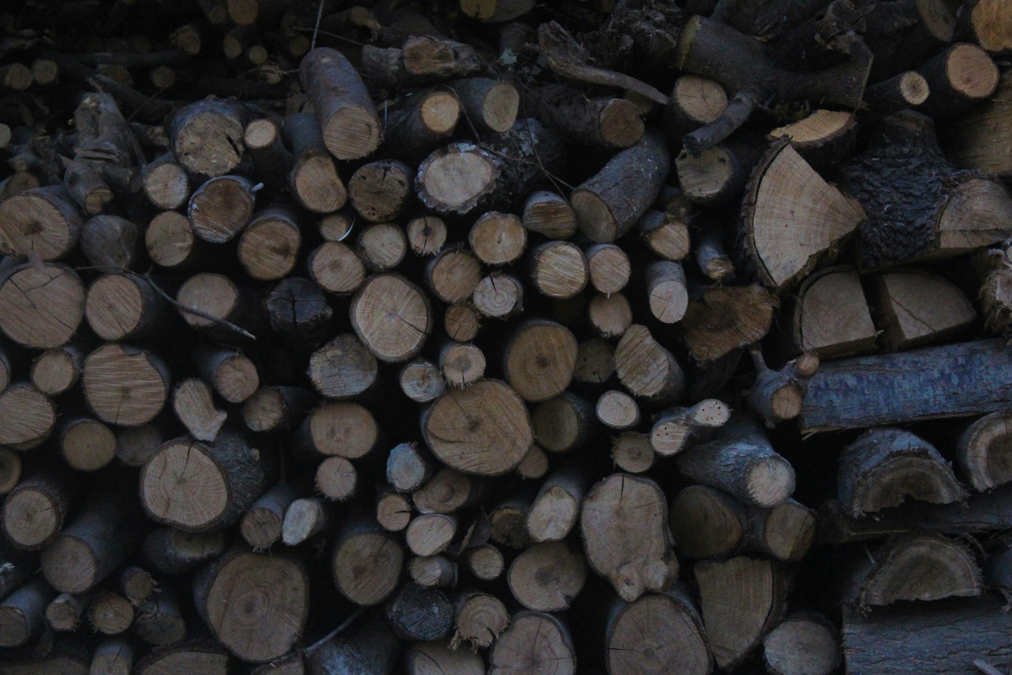 Photo by christellehayek