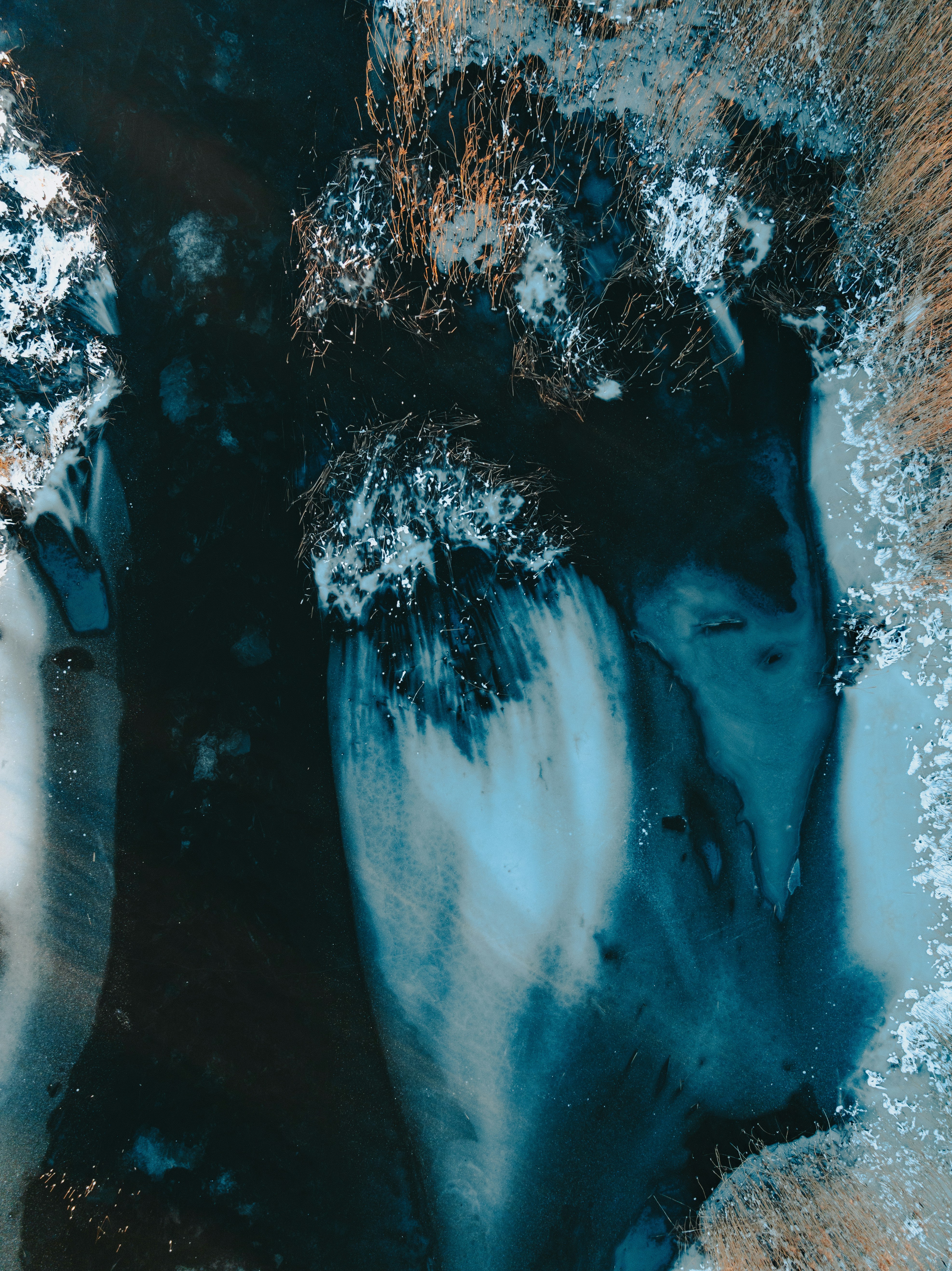 Photo by kristapsungurs