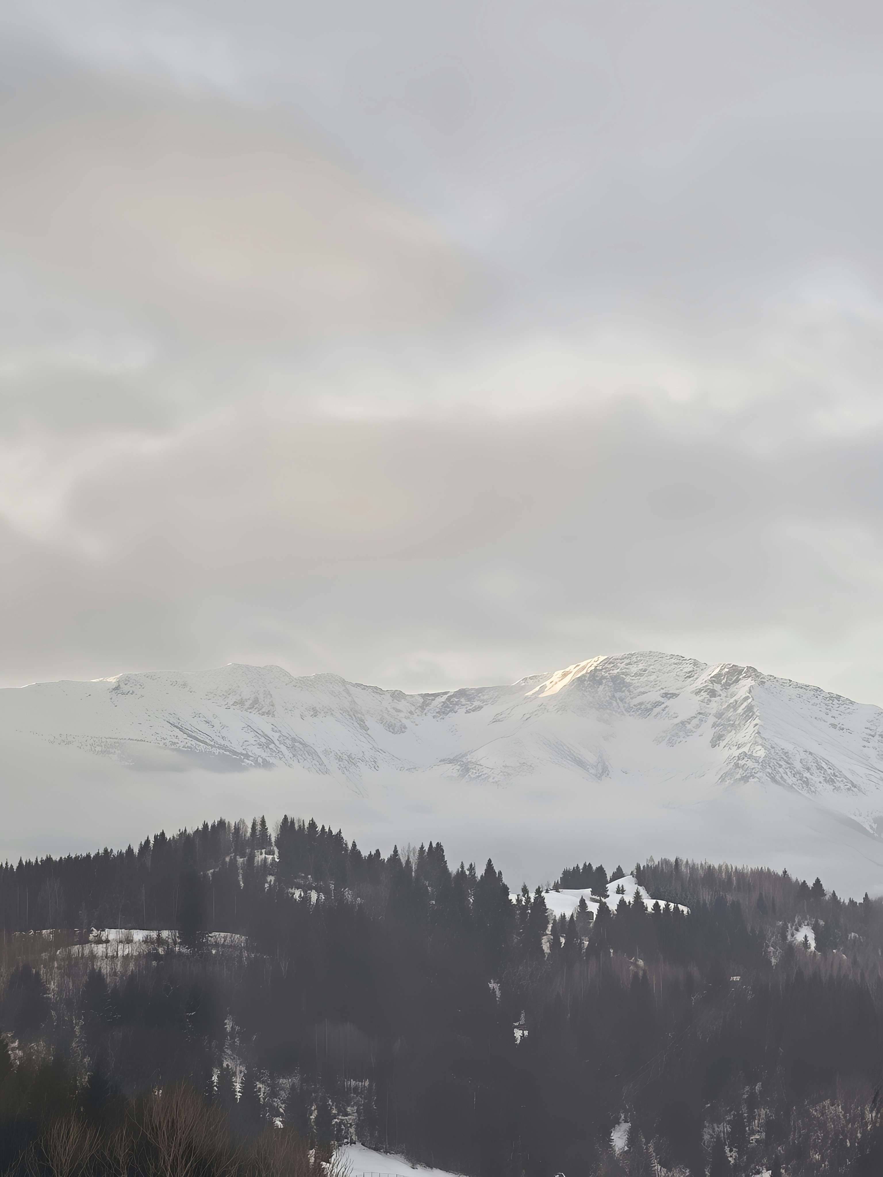 曇り空の下、雪に覆われた山々。