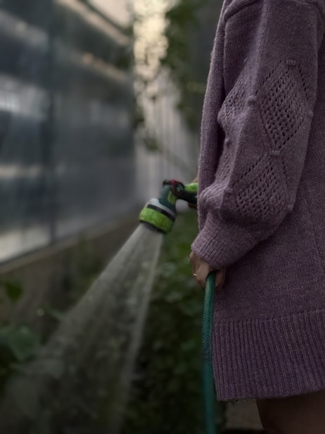 Person watering plants with a garden hose during an evening sunset.