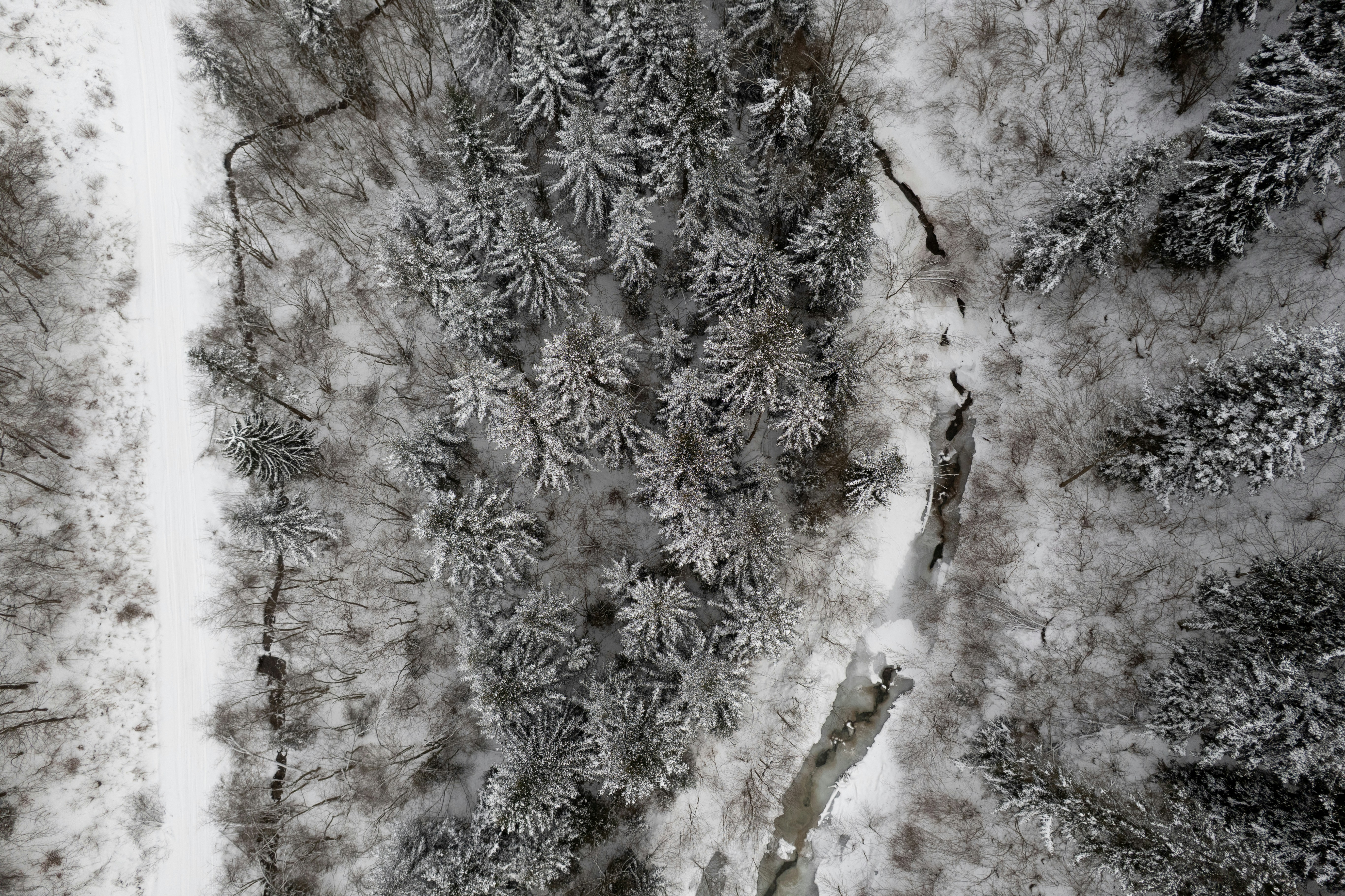 Photo by raymondpetrik