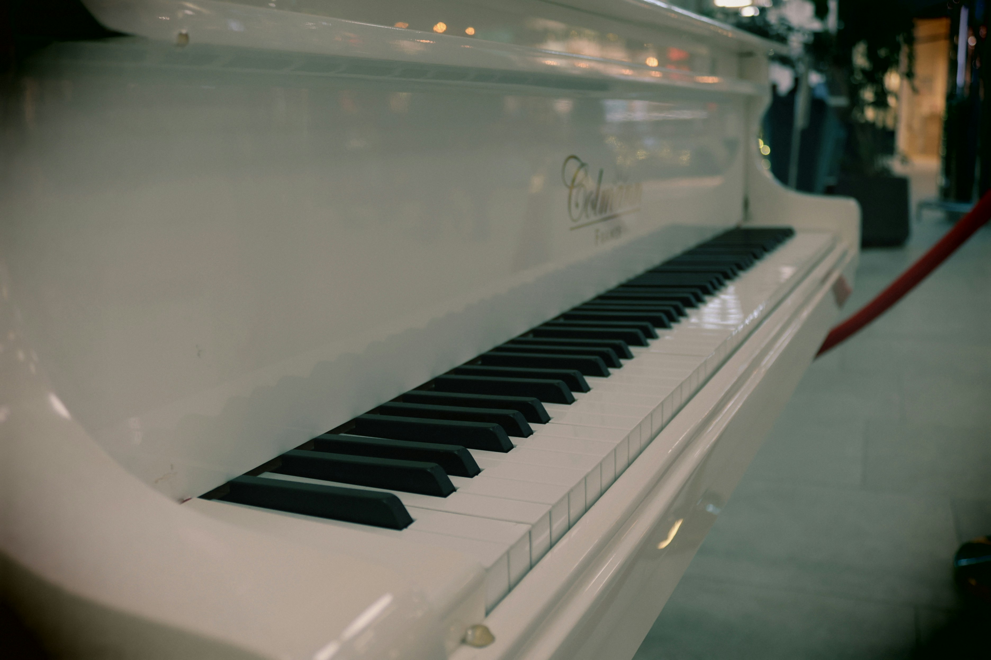 A white grand piano with black keys