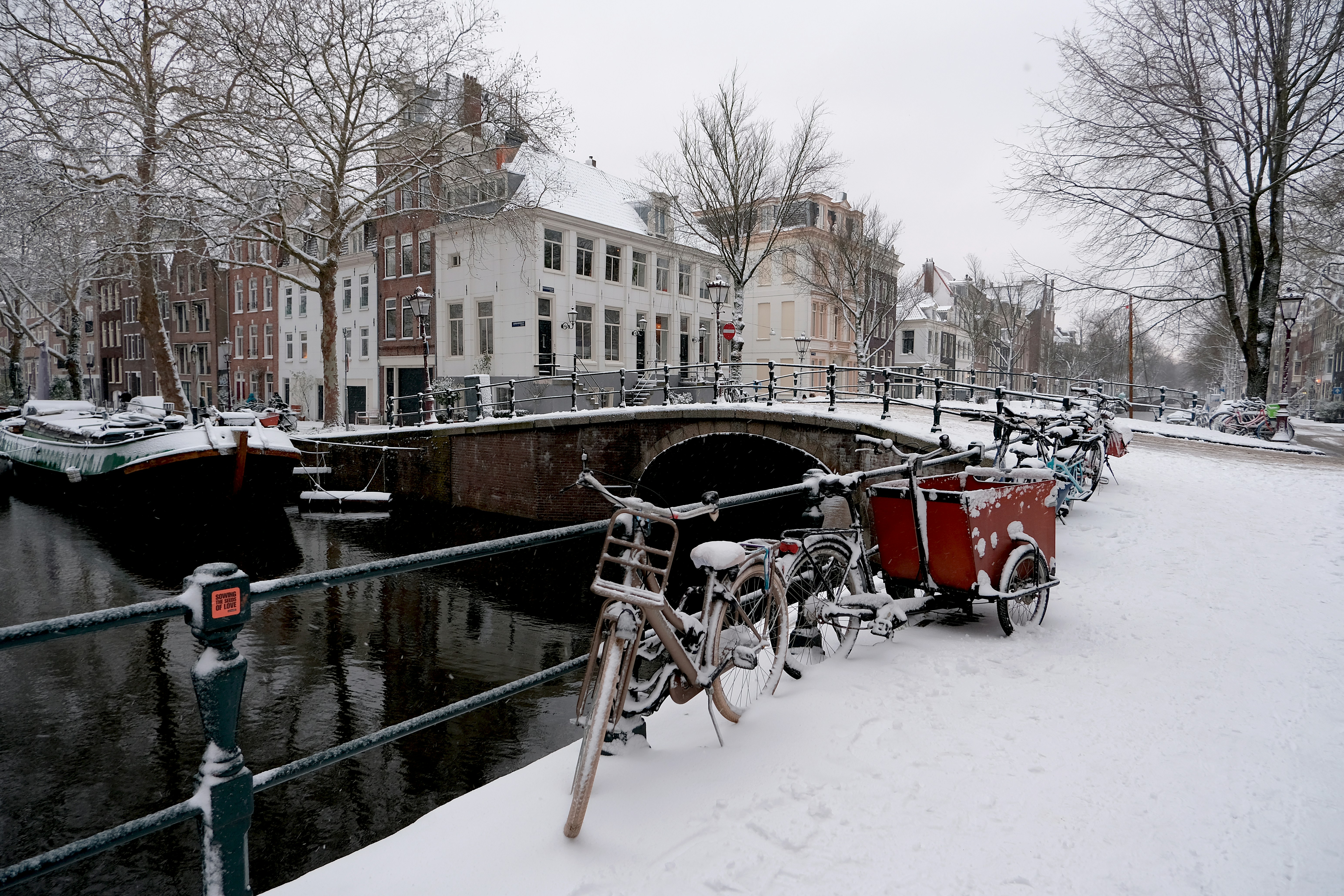 Photo by farahalmazouni