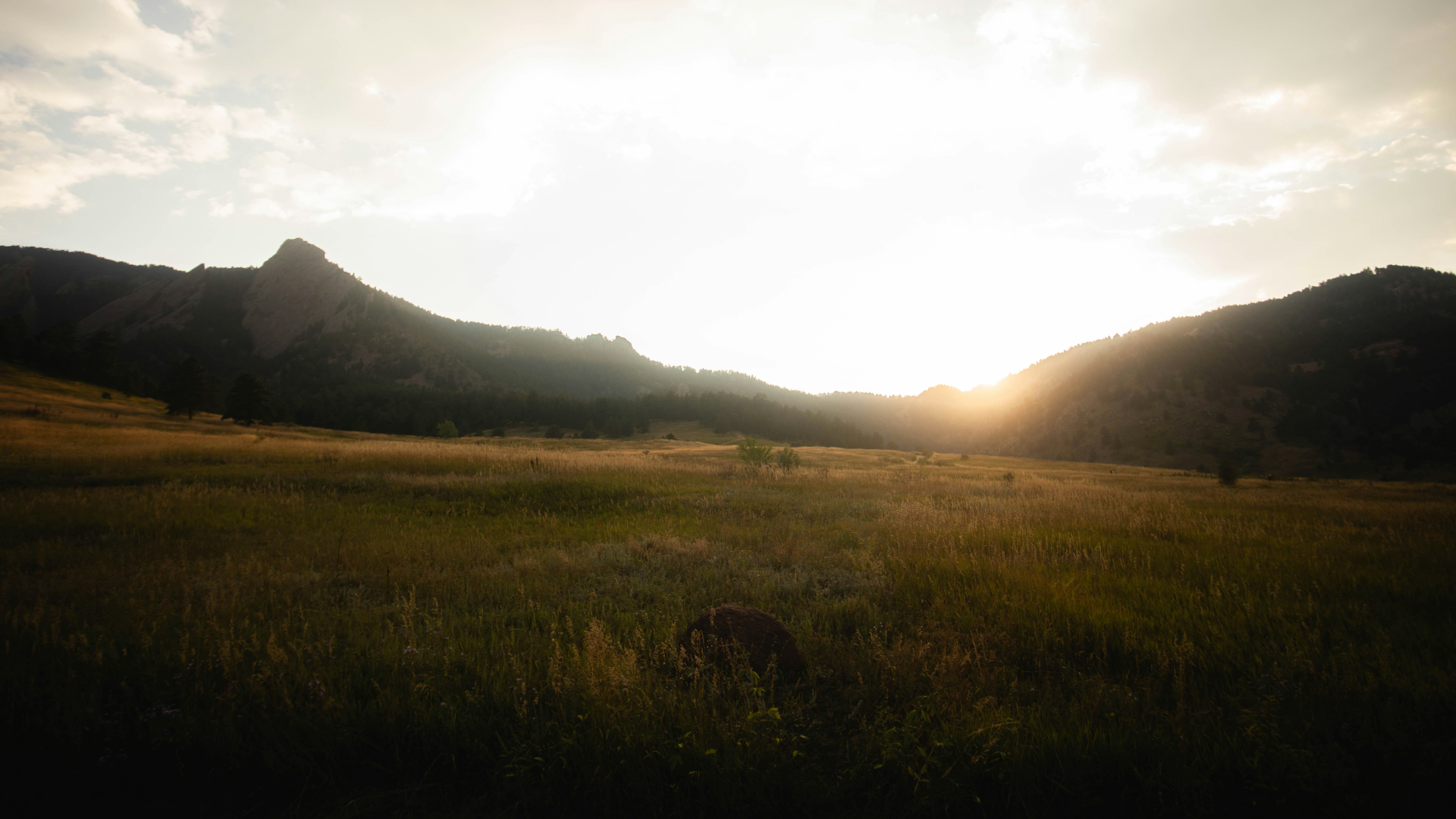 Golden sunset over a grassy field with mountains.