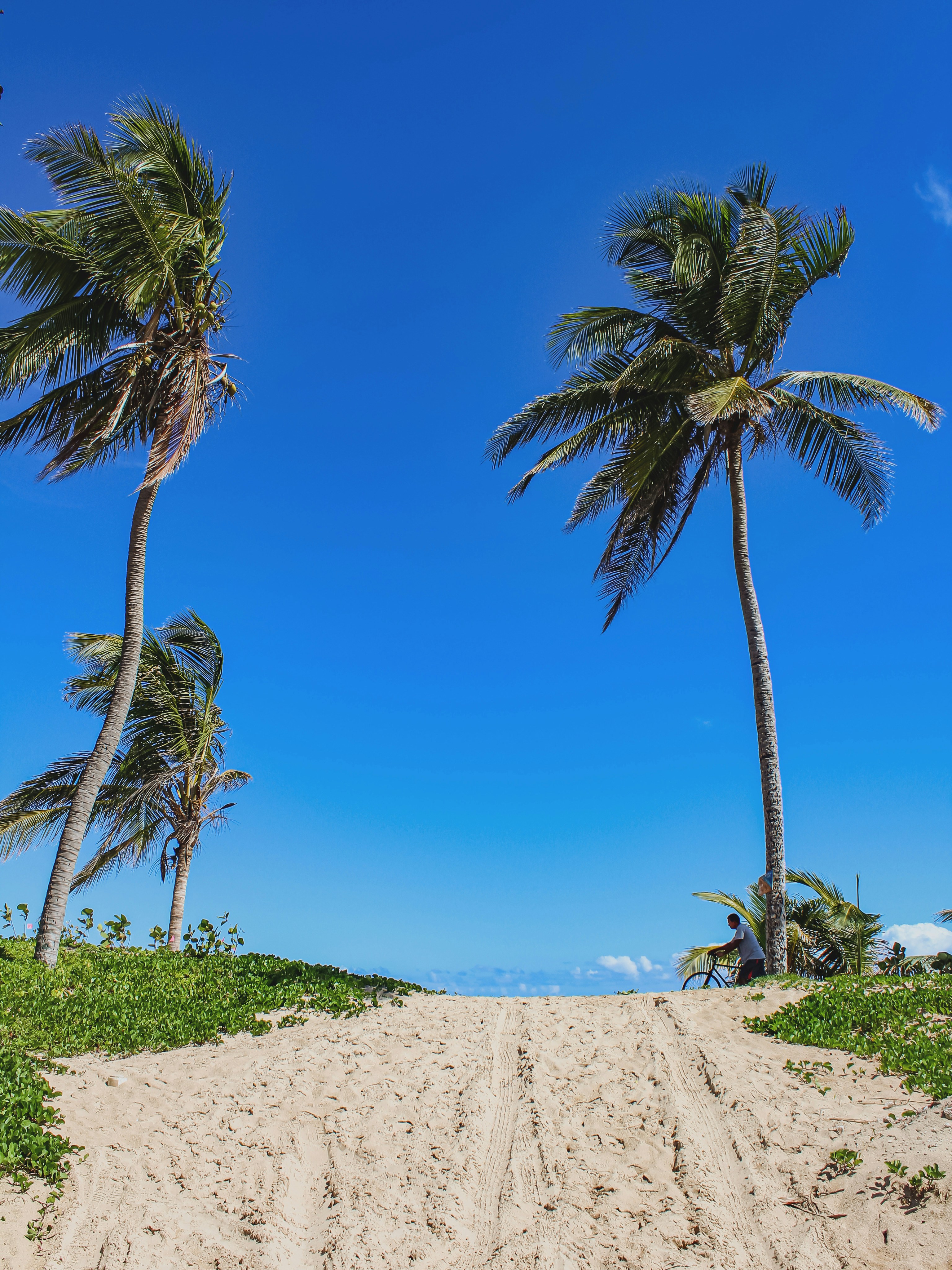 Photo by manrikphoto