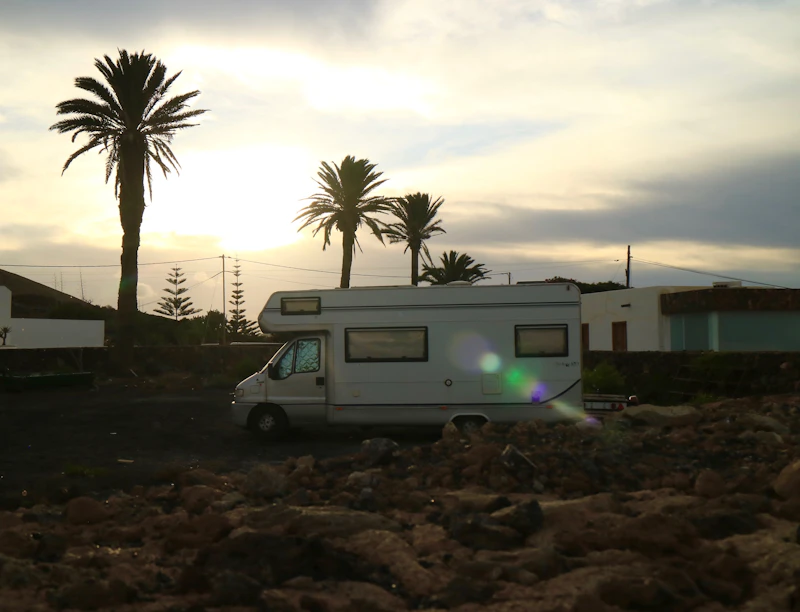 Camper junto a palmeras al atardecer