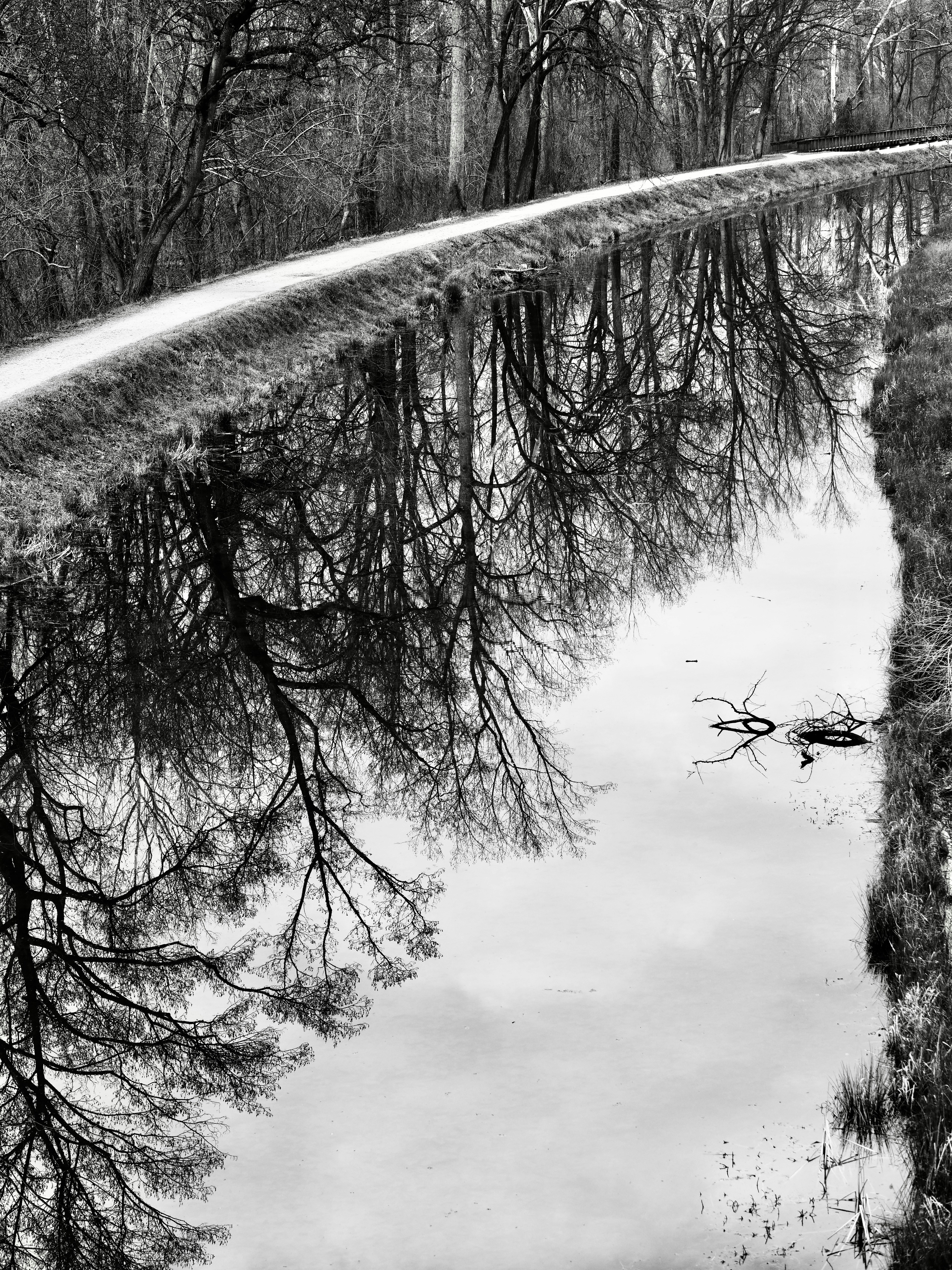 Photo by sschusterphotoart