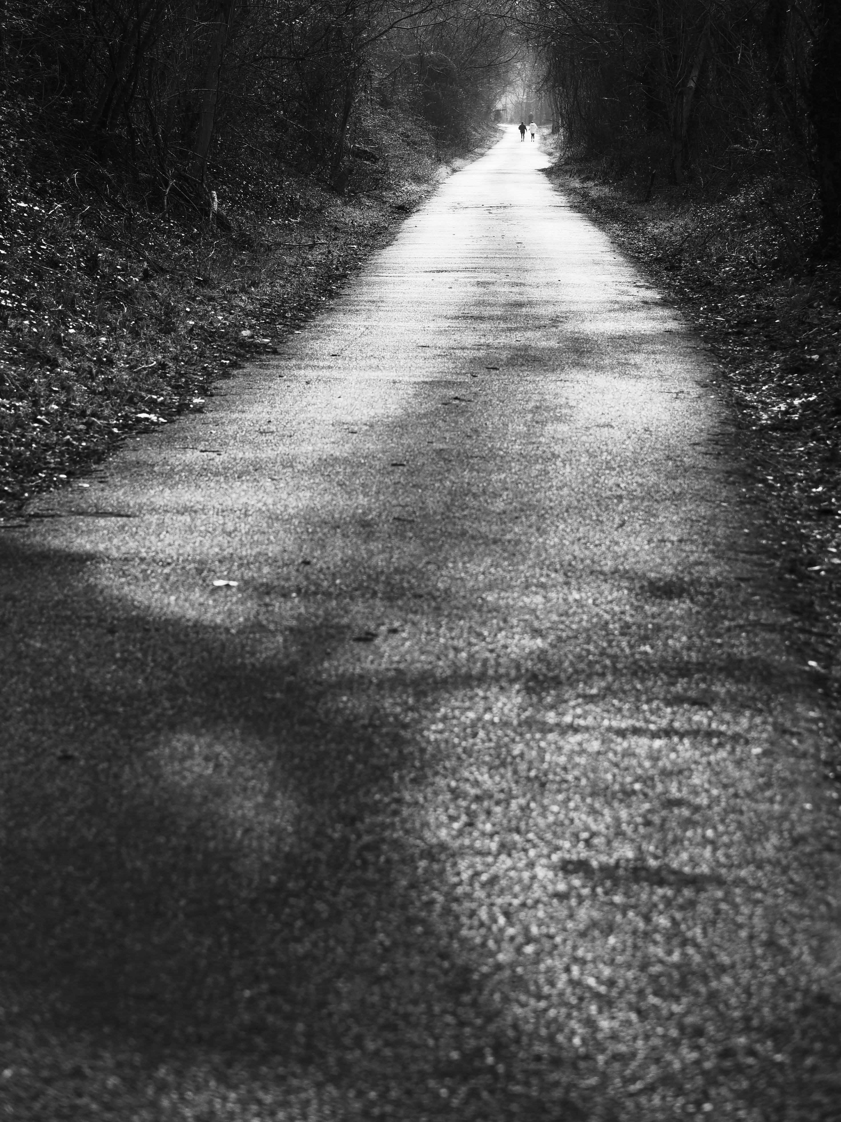 Photo by sschusterphotoart