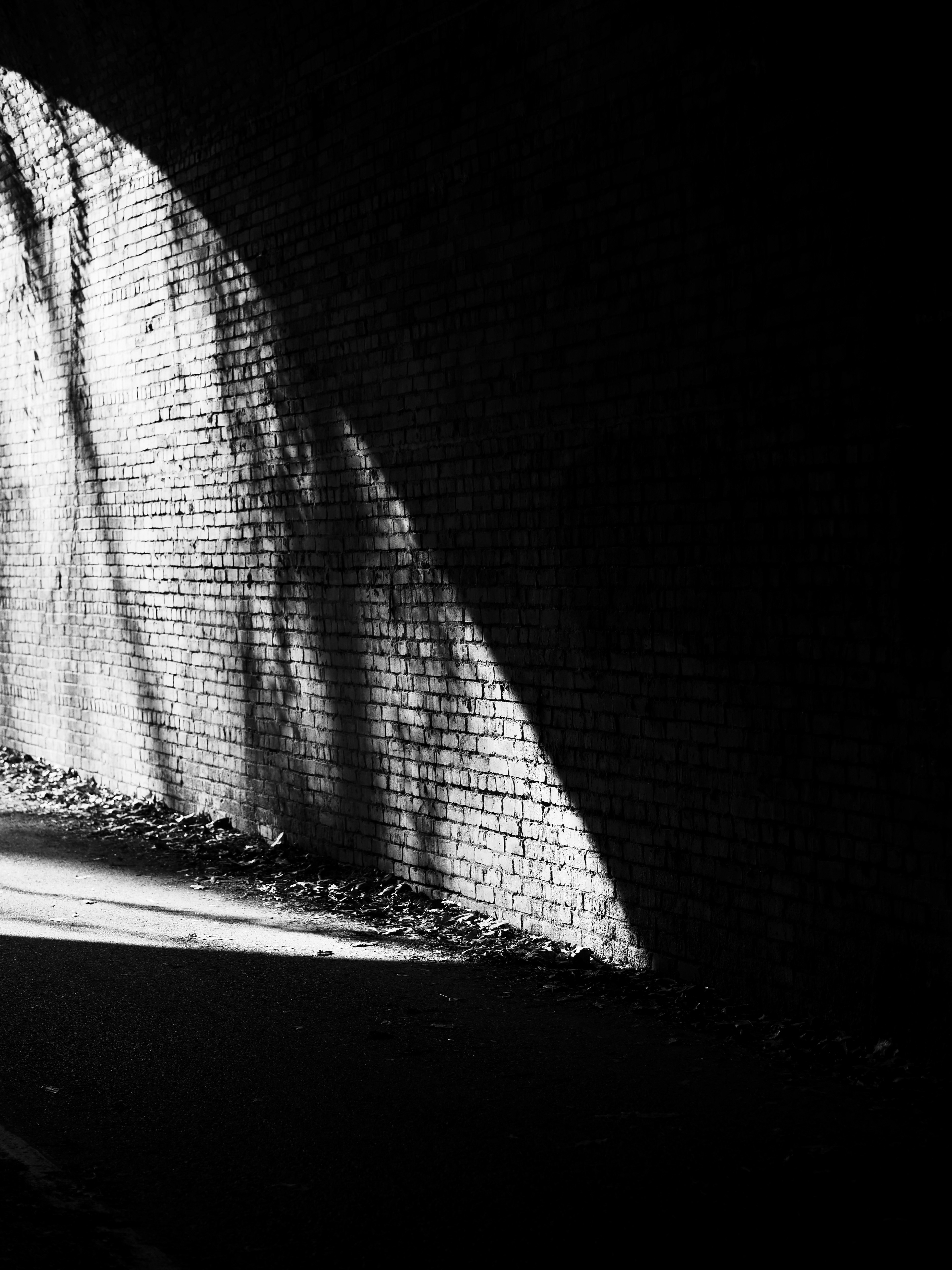 Photo by sschusterphotoart