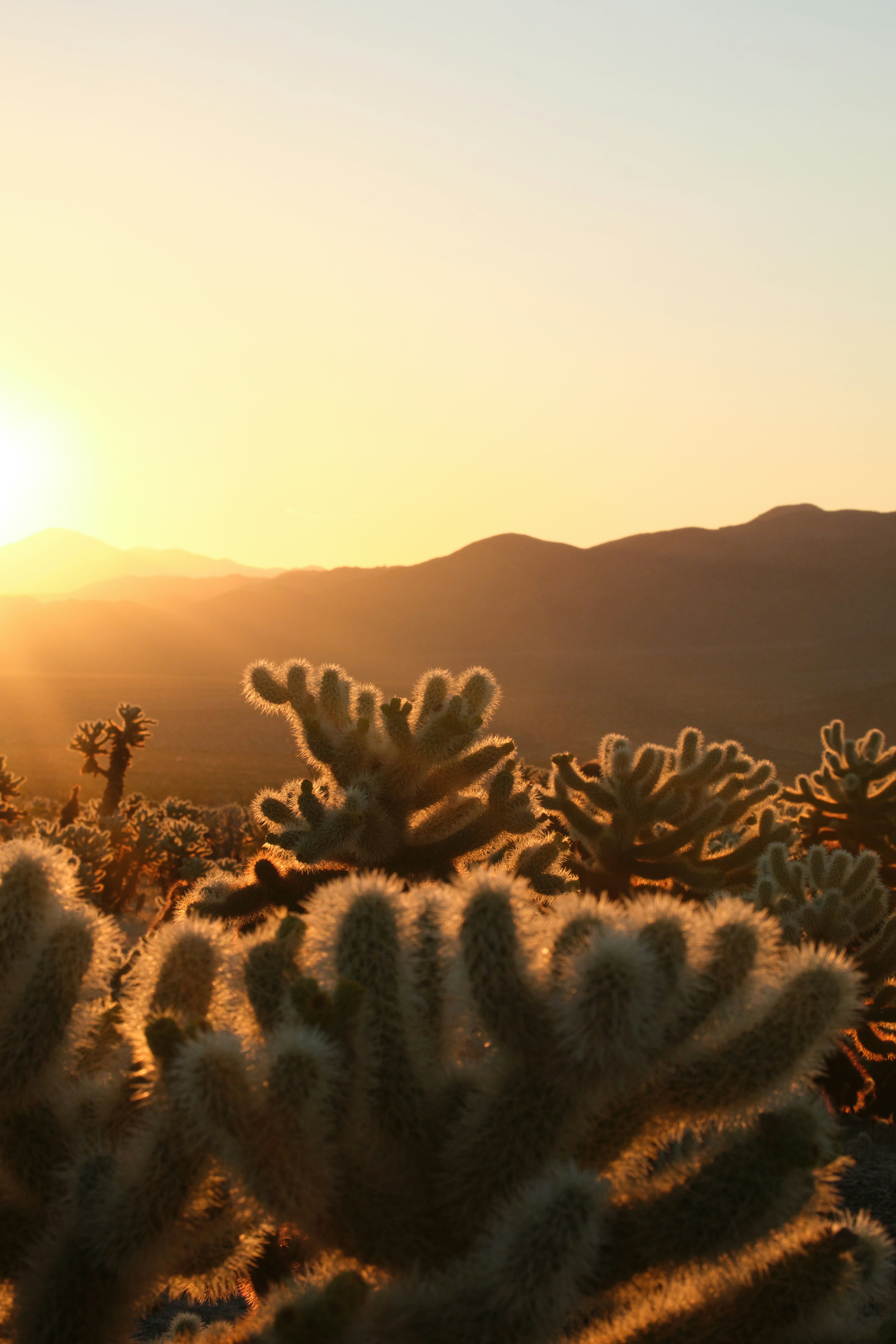 Photo by exquisitian