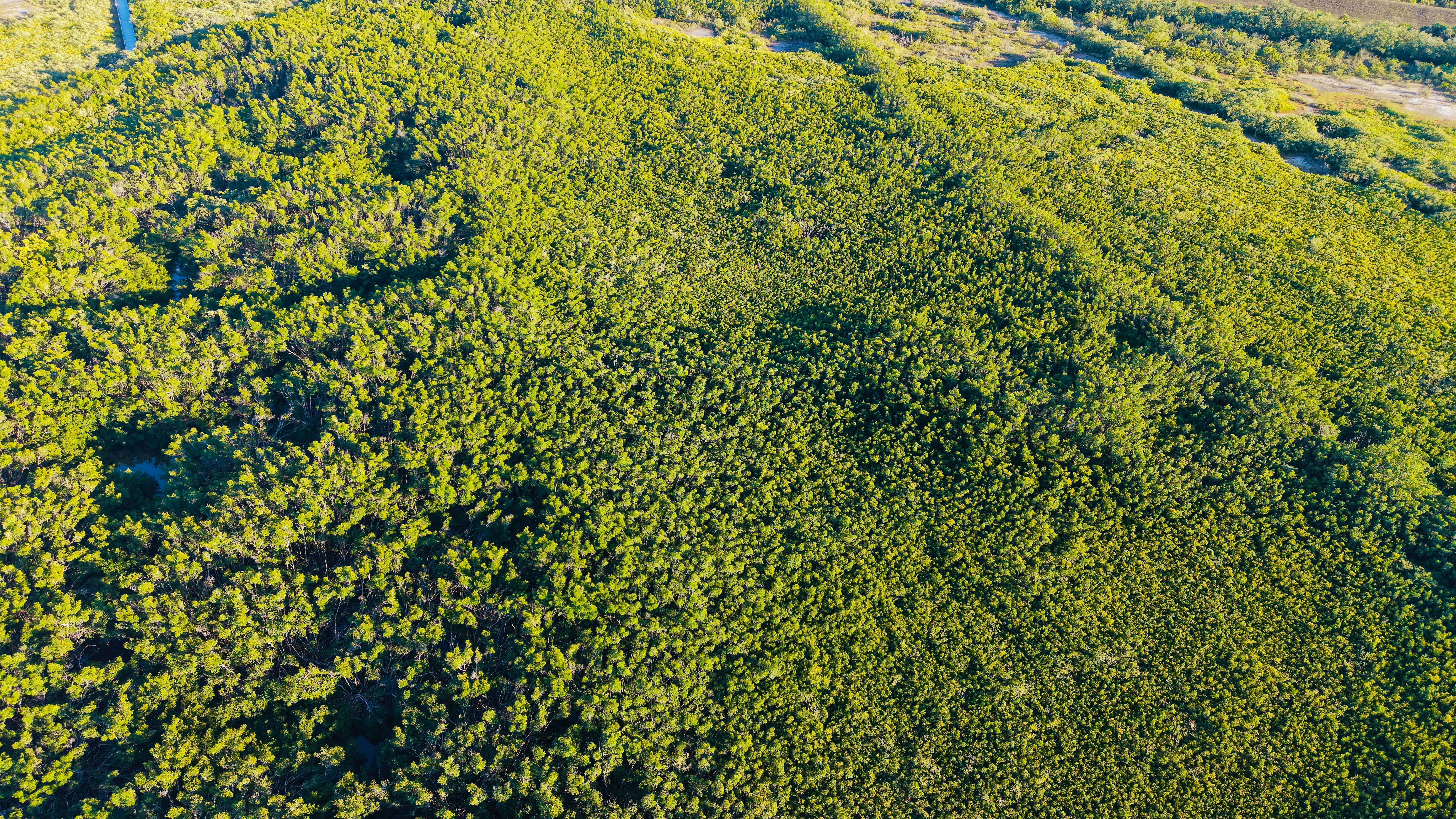 Photo by christheisland