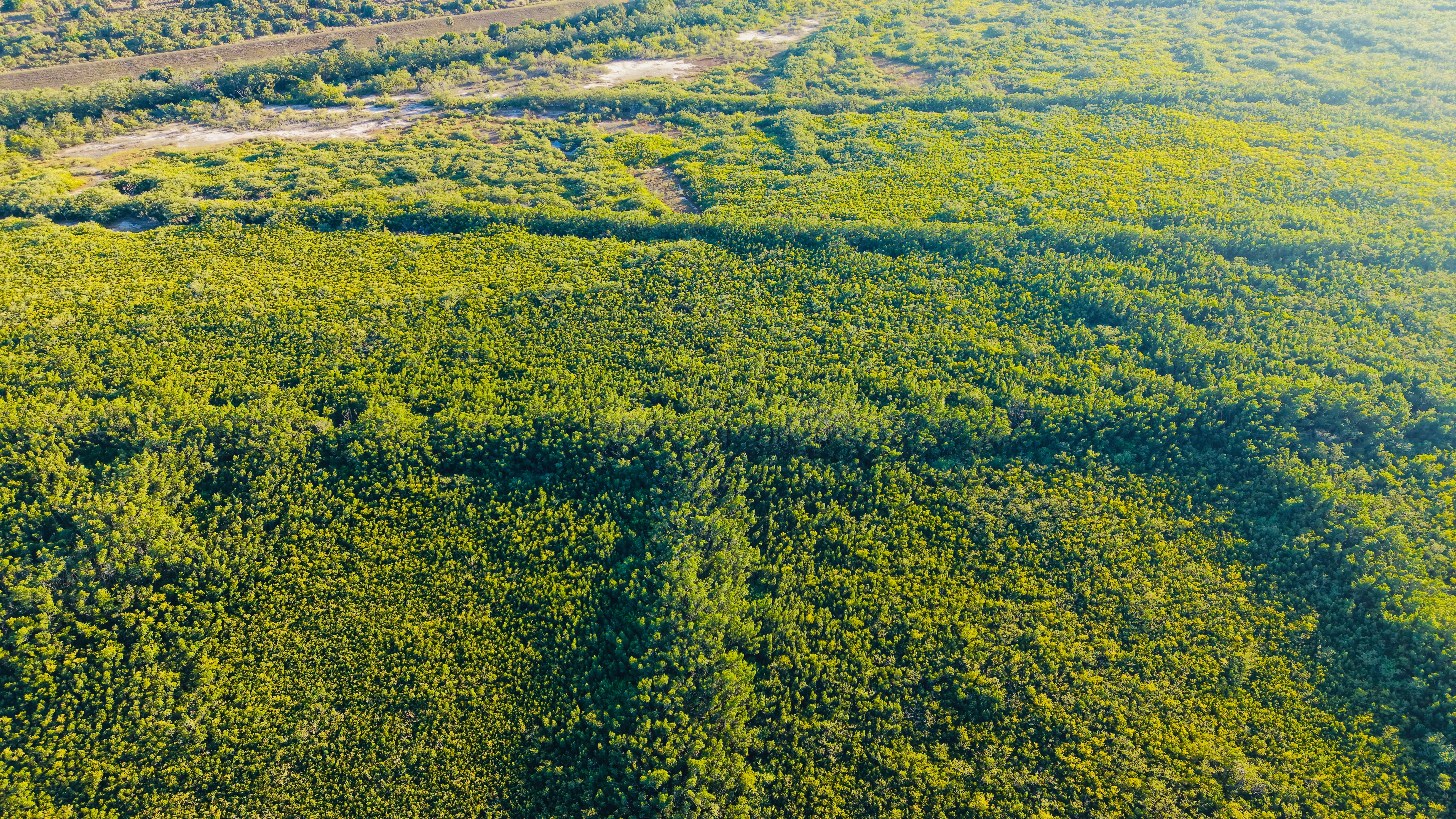 Photo by christheisland