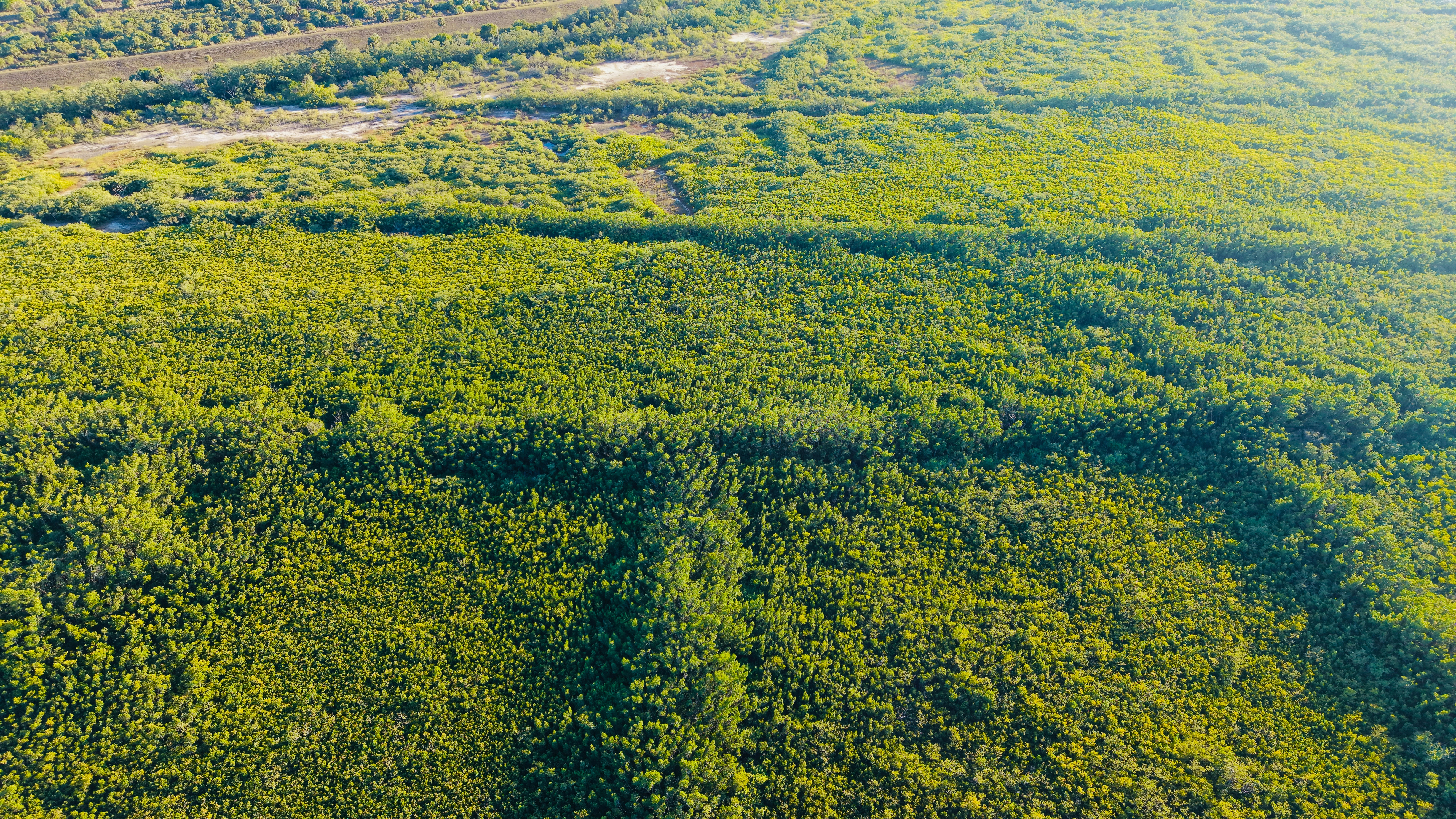 Photo by christheisland