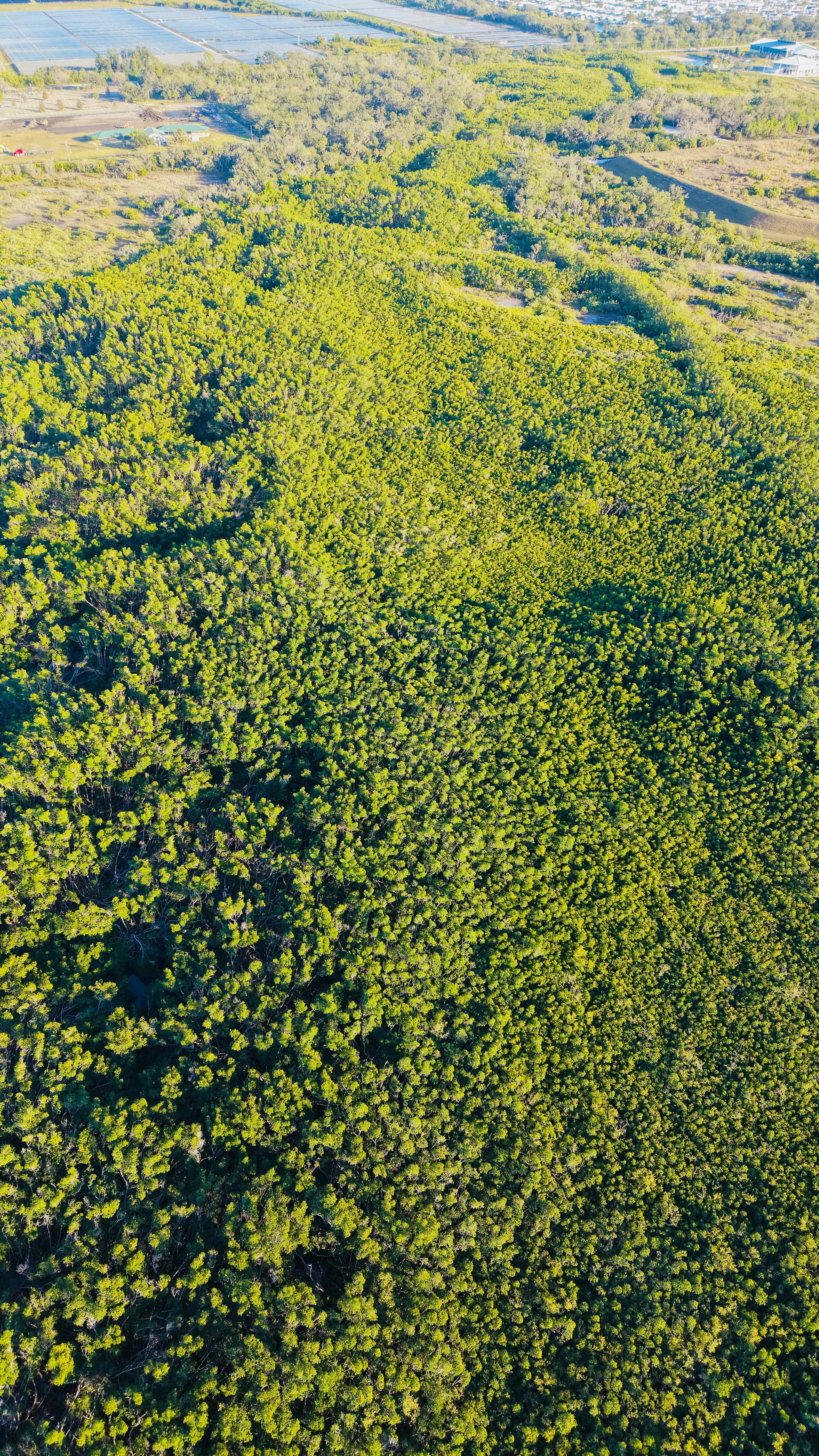 Photo by christheisland