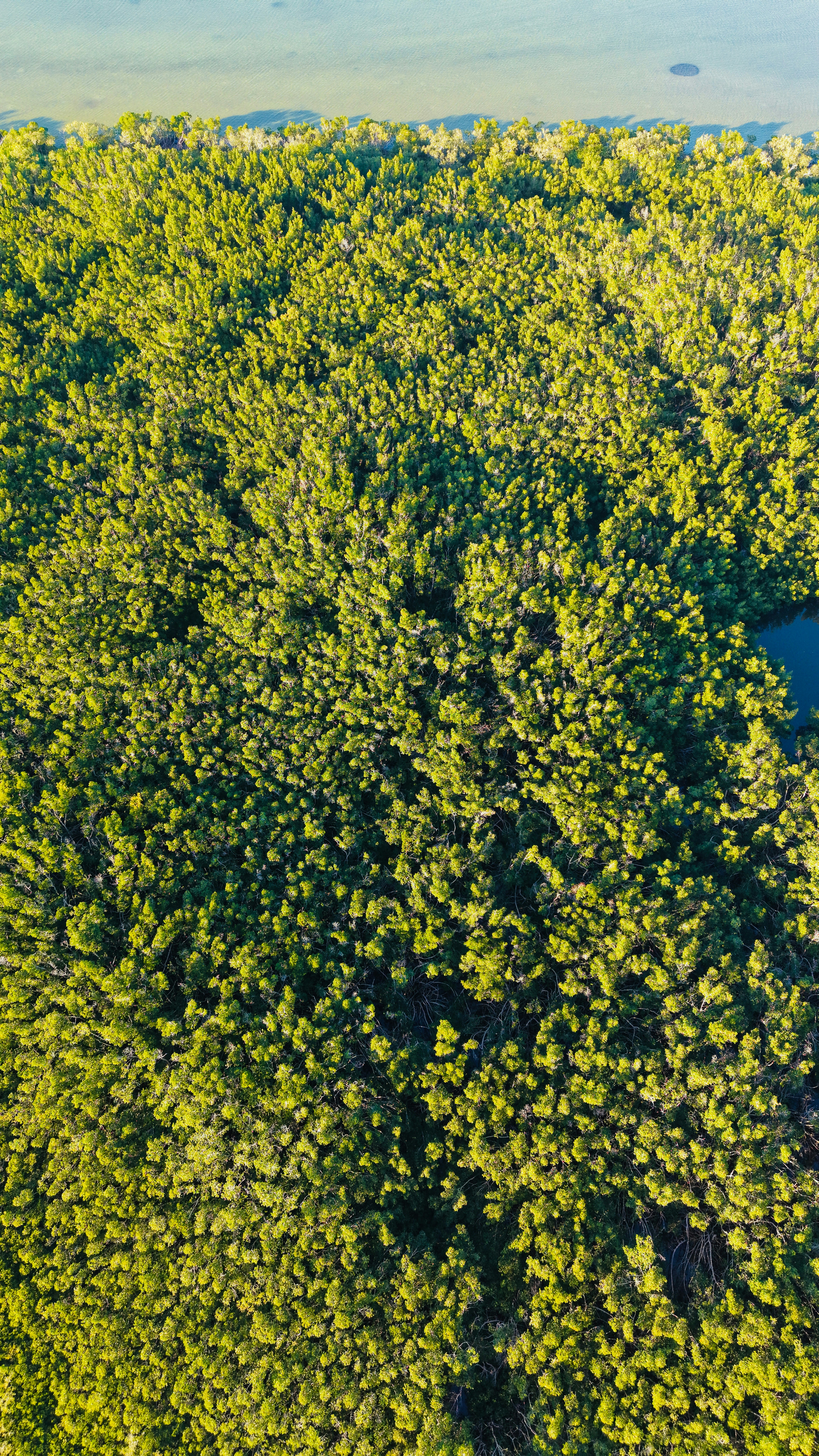 Photo by christheisland