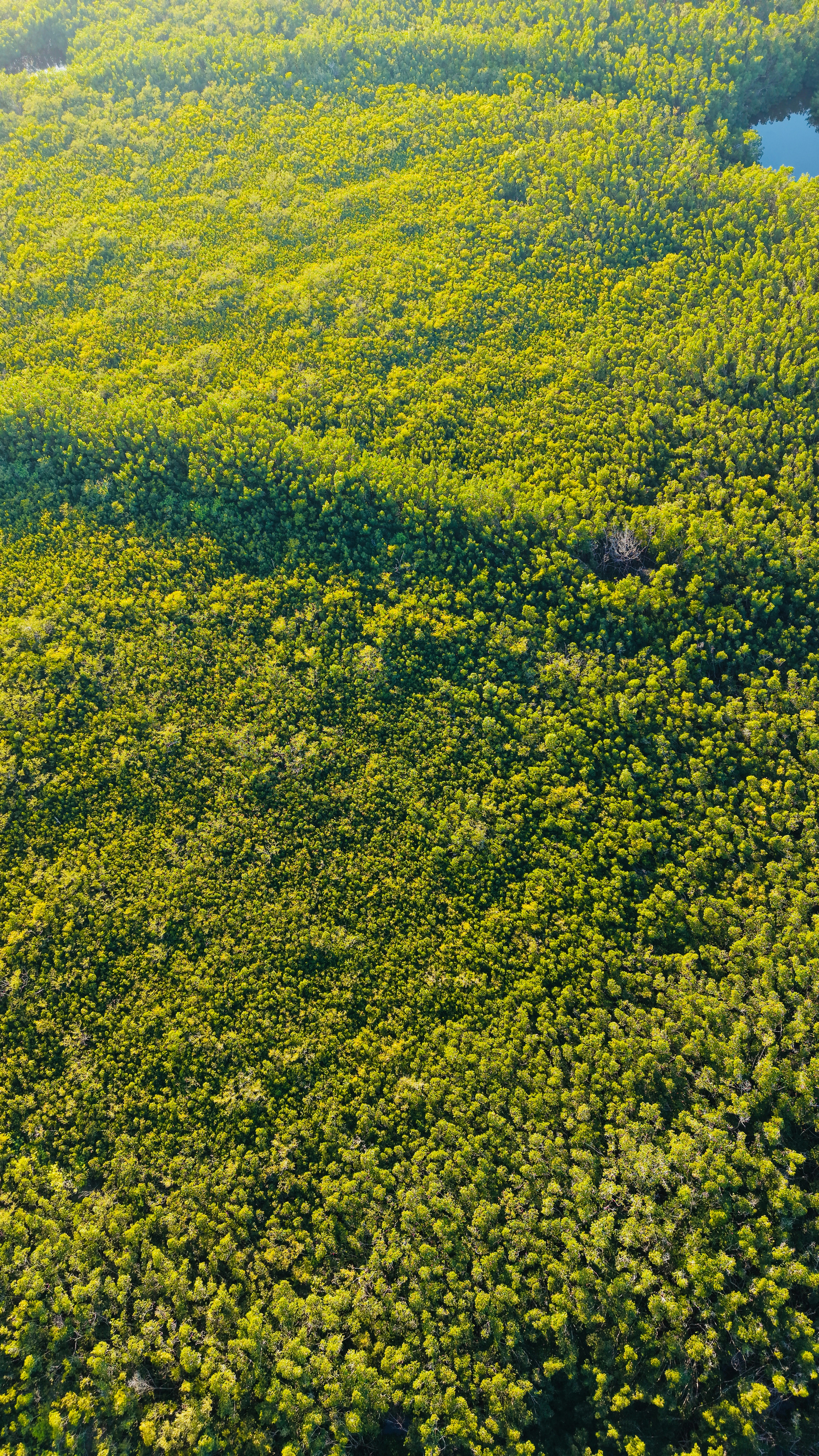 Photo by christheisland