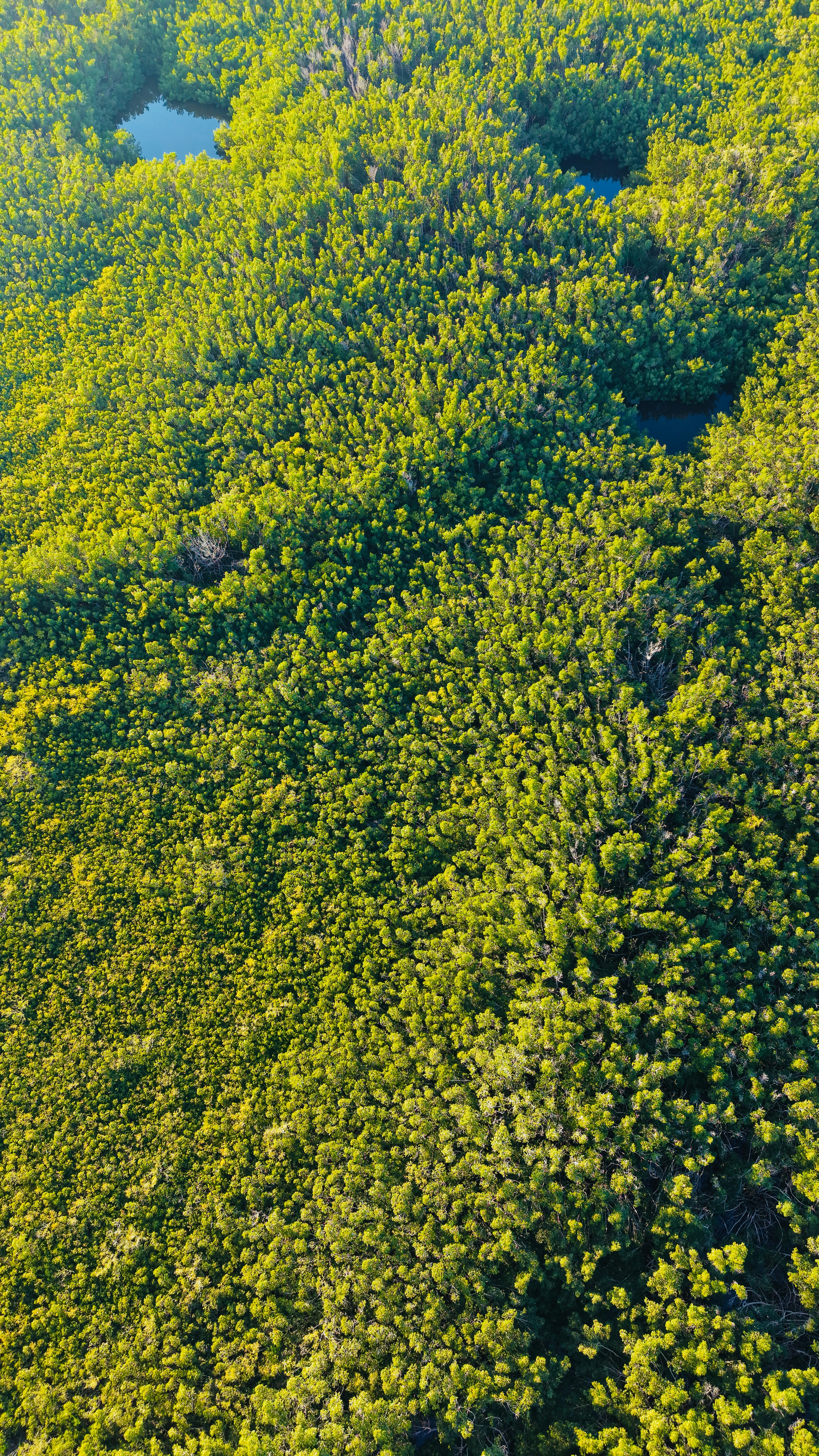 Photo by christheisland