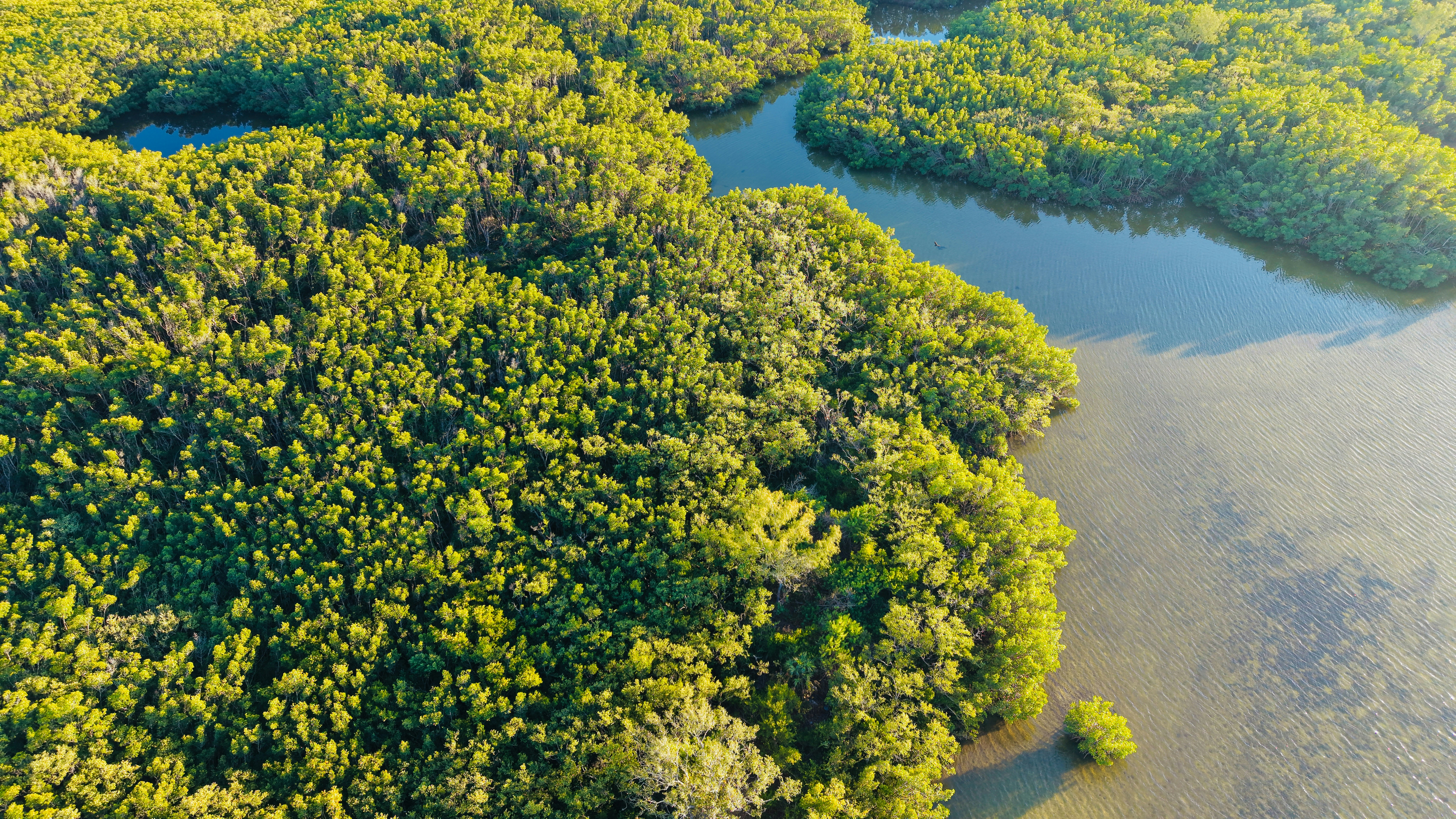 Photo by christheisland