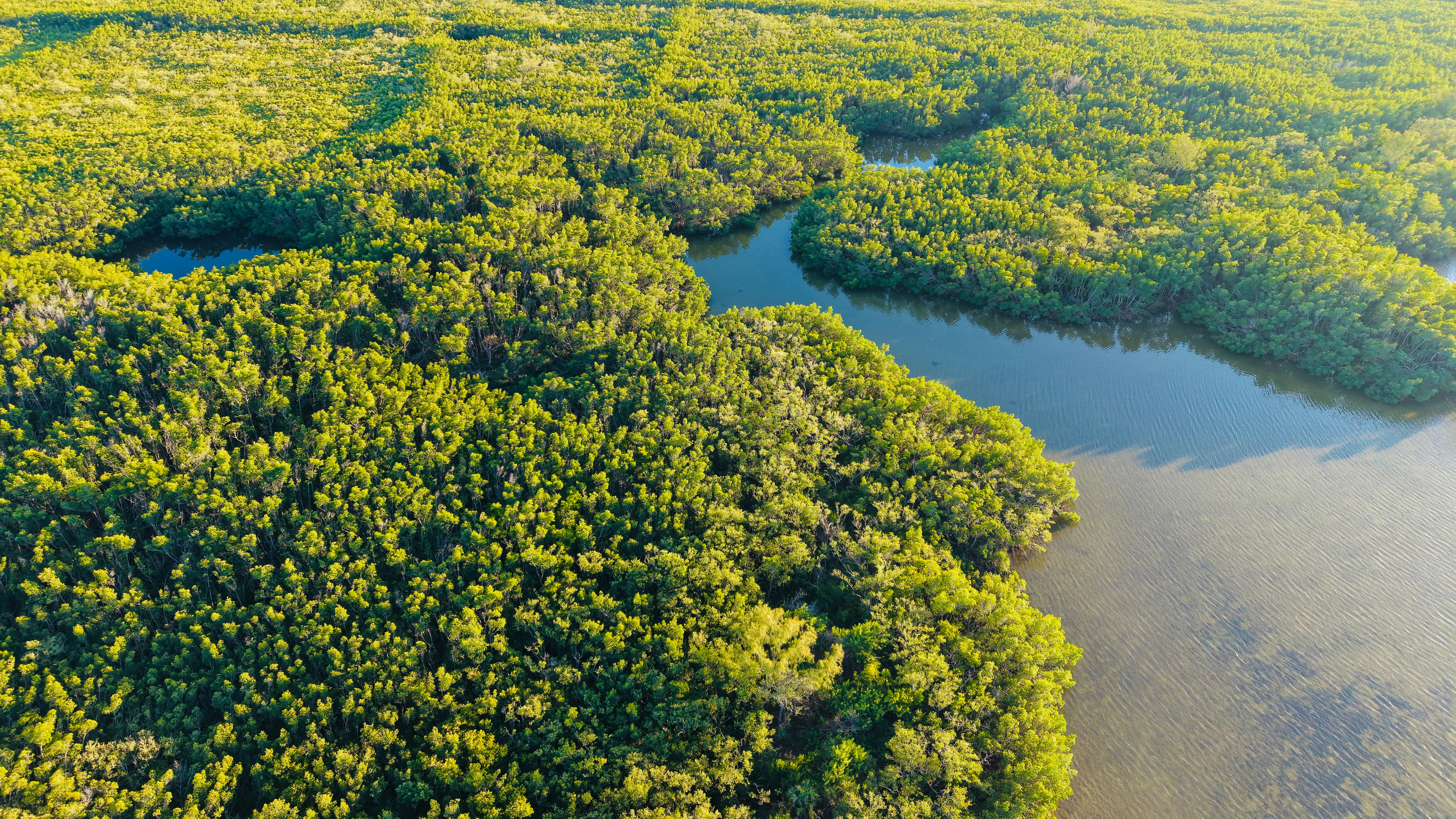 Photo by christheisland