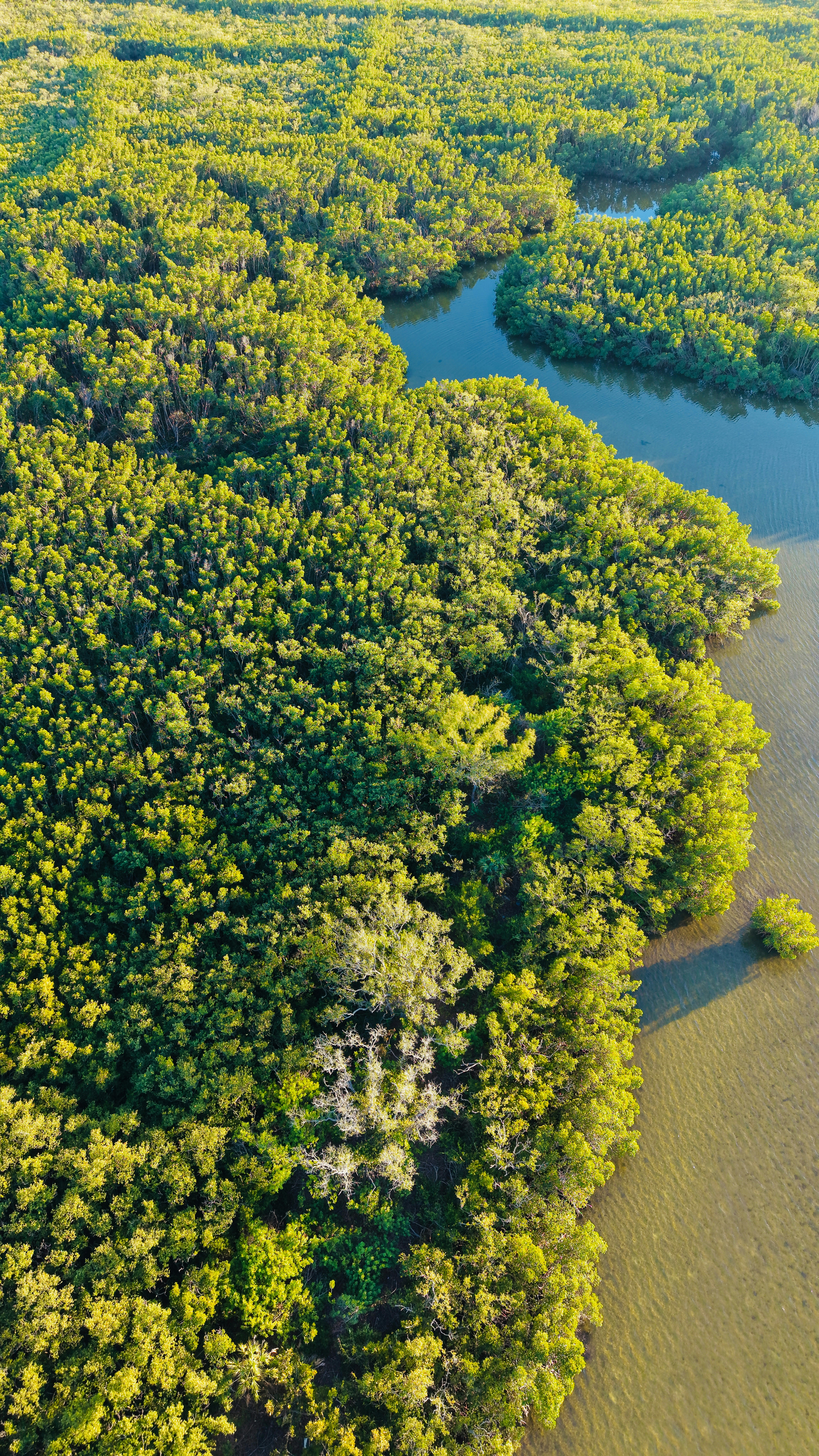 Photo by christheisland