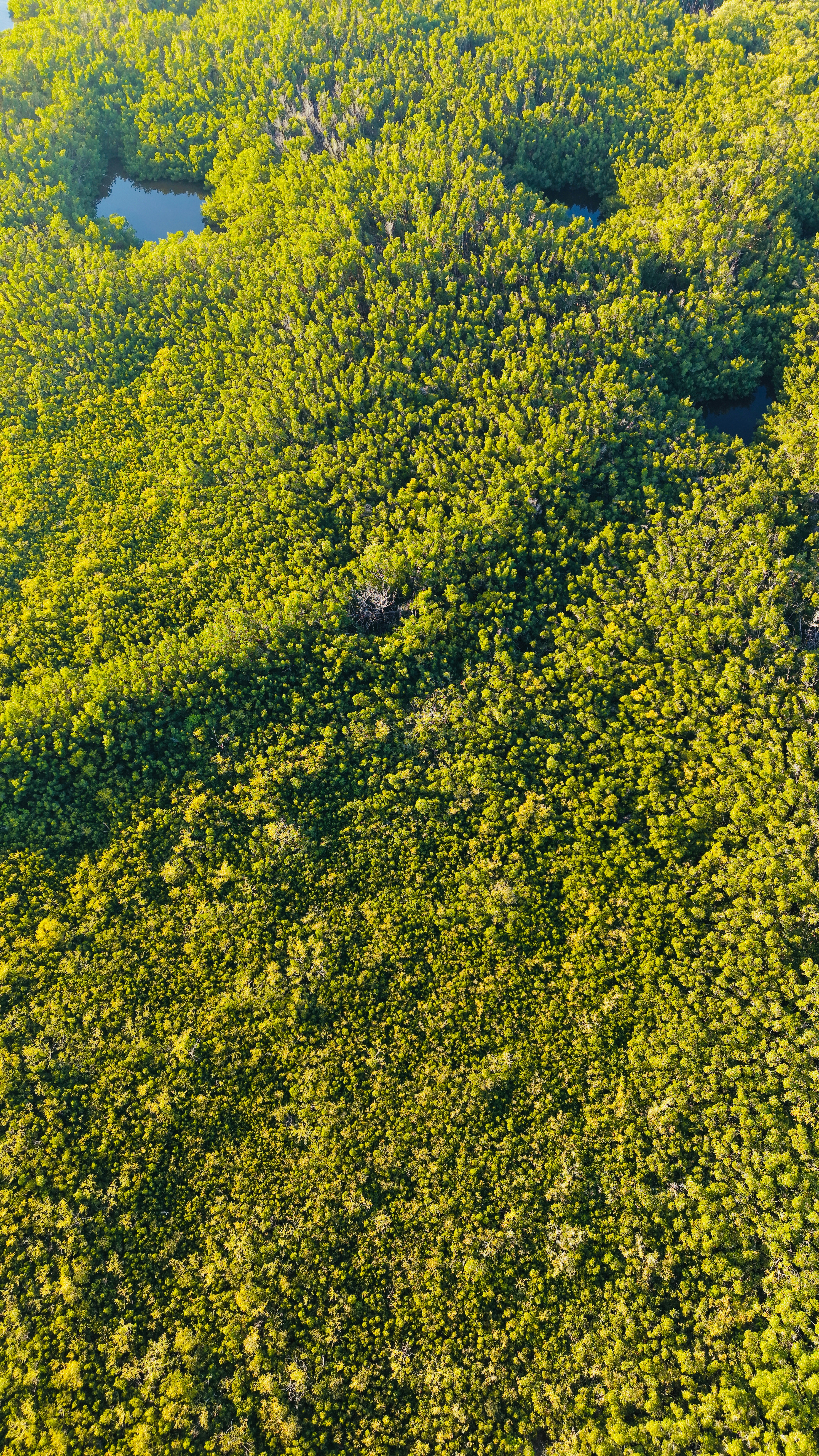 Photo by christheisland