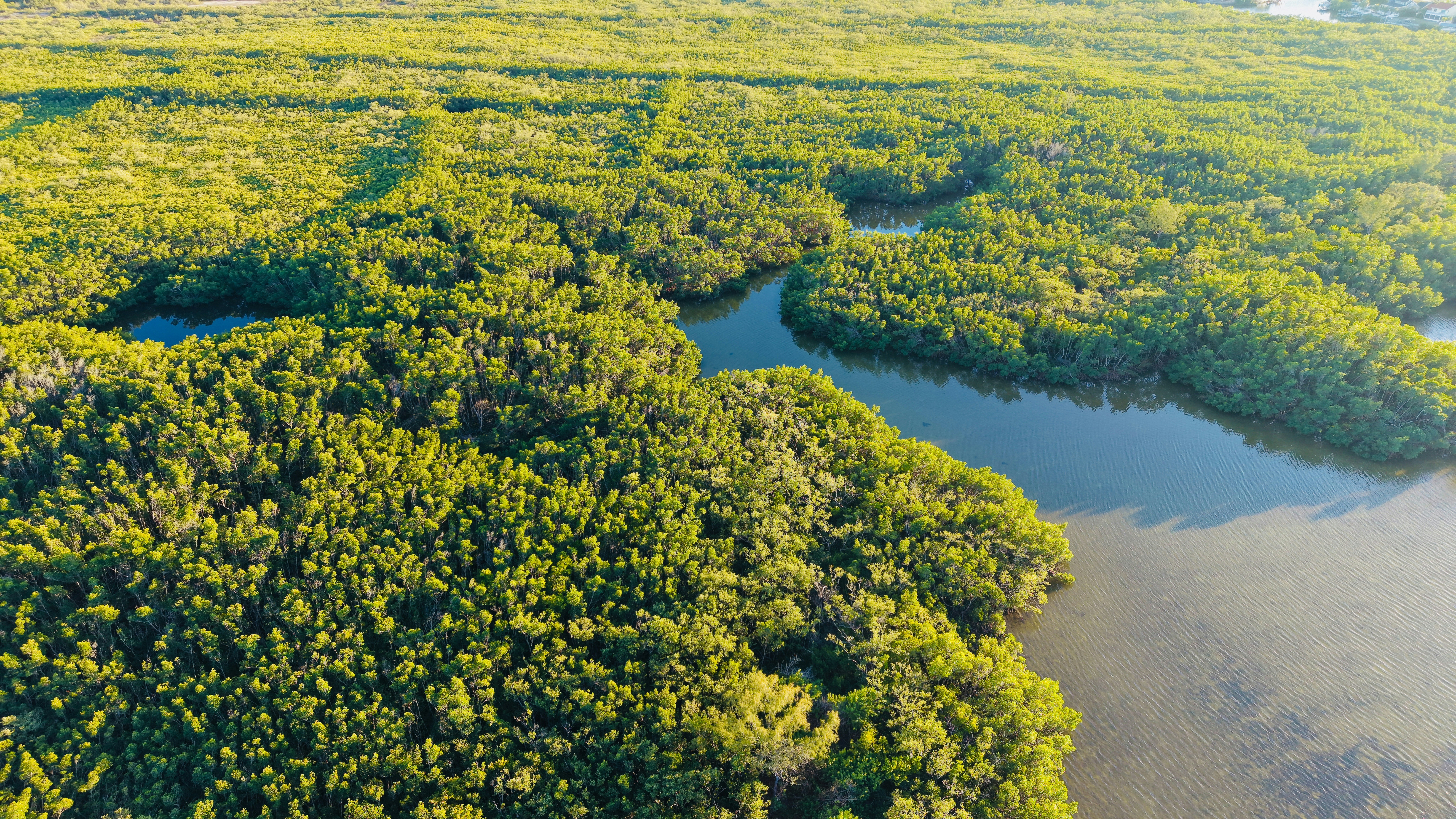 Photo by christheisland