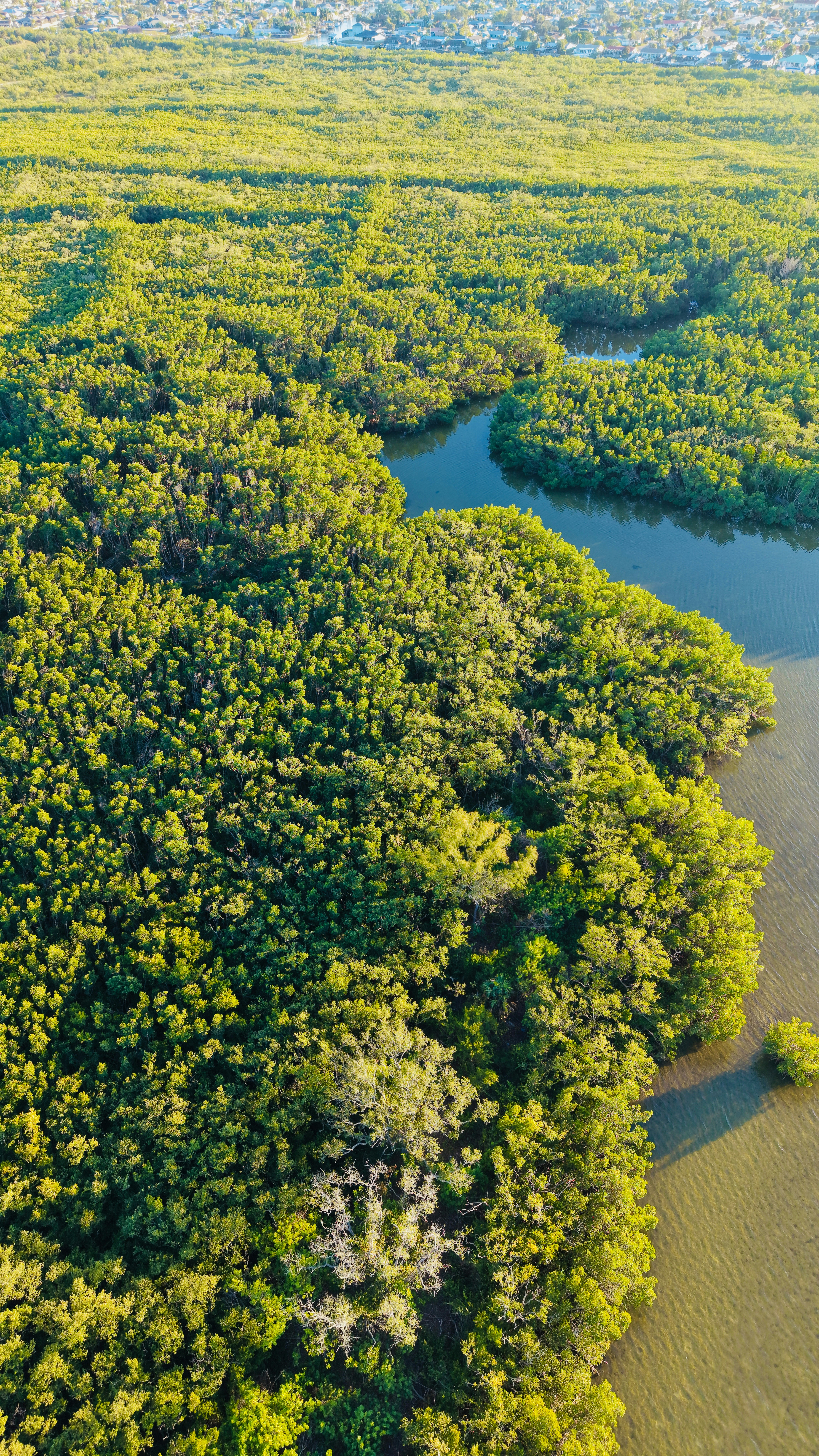 Photo by christheisland