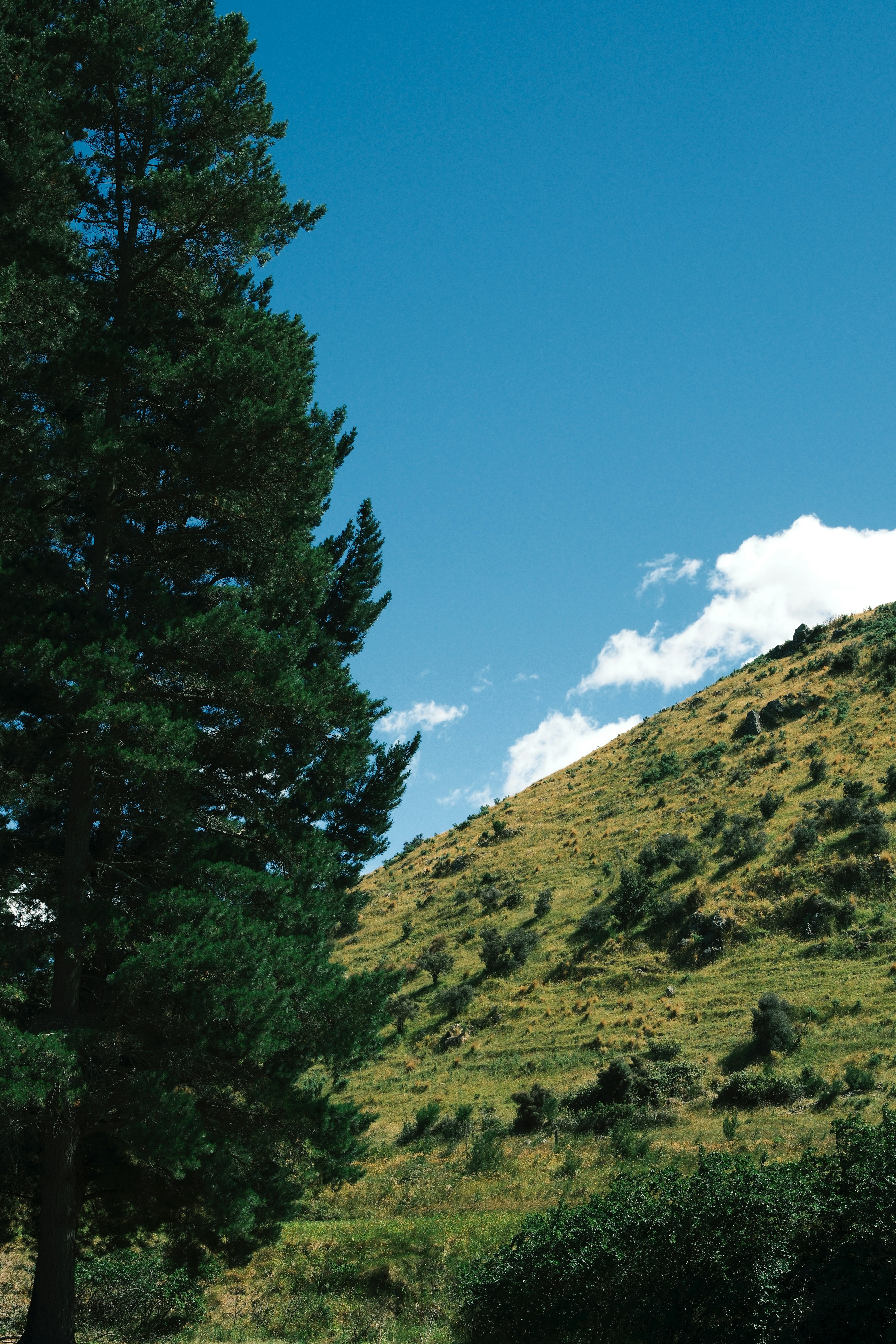 Photo by ginkgoshutter