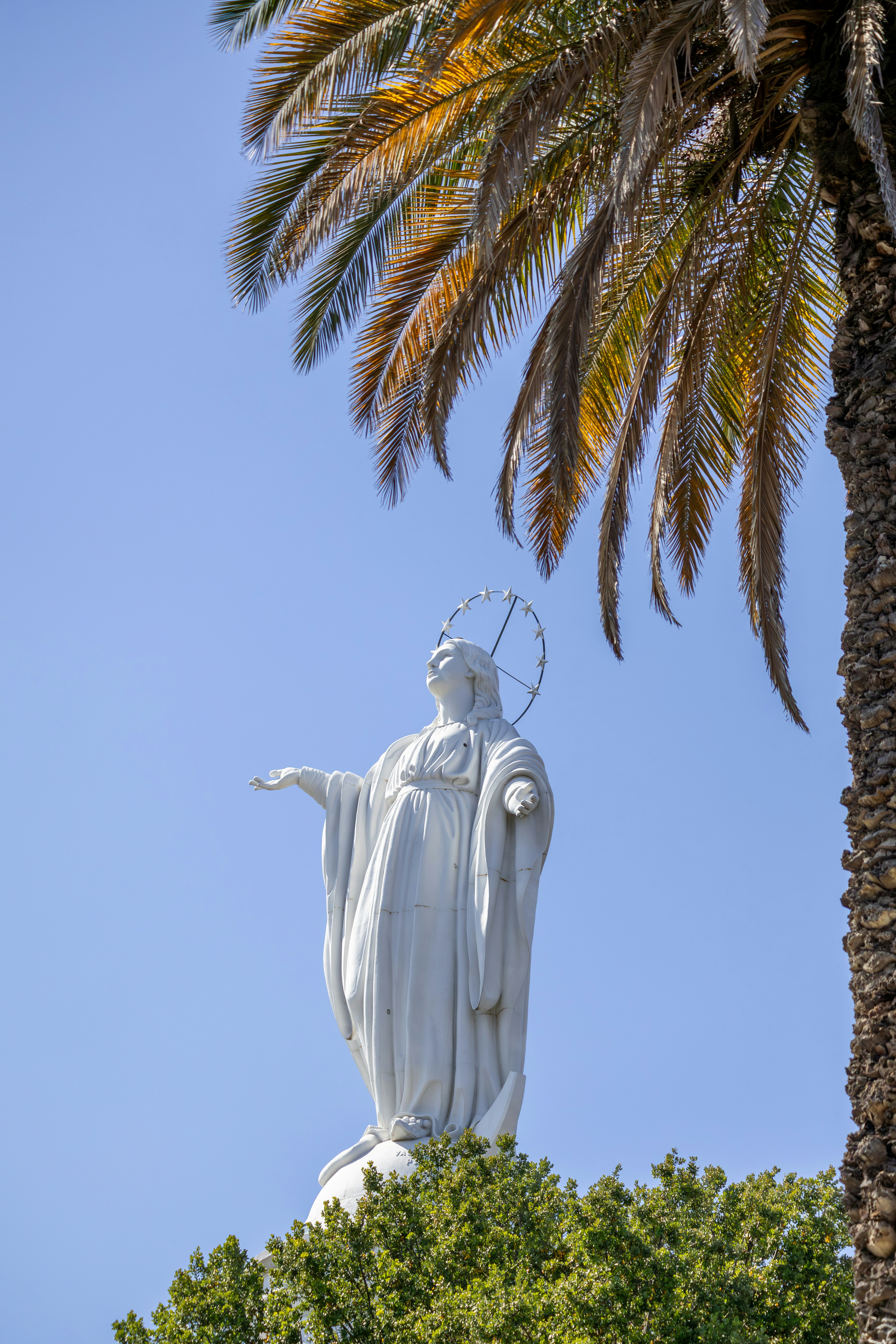 Santuario Inmaculada Concepción - White statue of mary with palm tree and blue sky