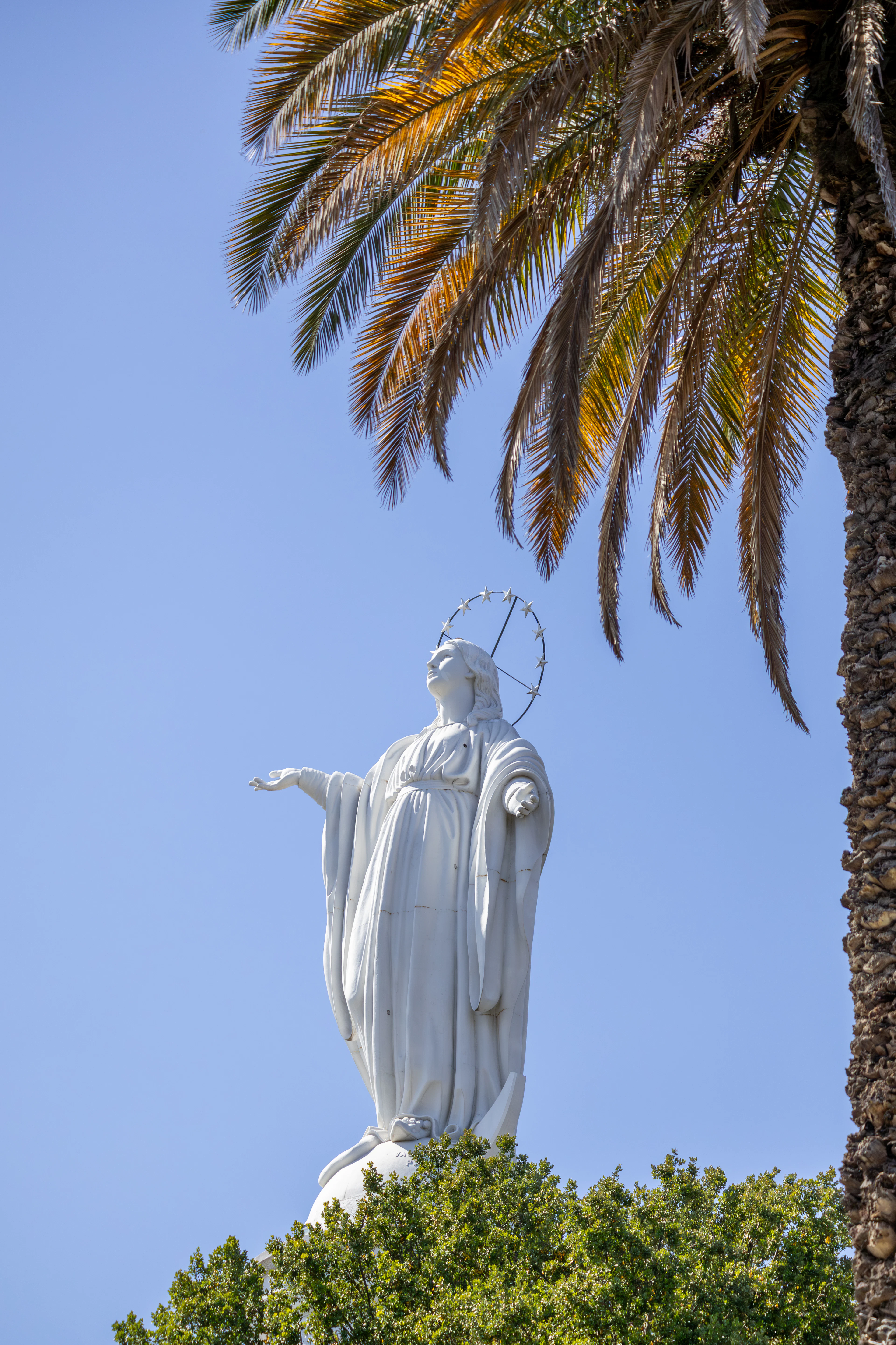 The white statue of the Virgin of the Immaculate Conception on the summit of Cerro San Cristobal, her starred halo and outstretched hand framed by a palm frond against a cloudless blue sky.
