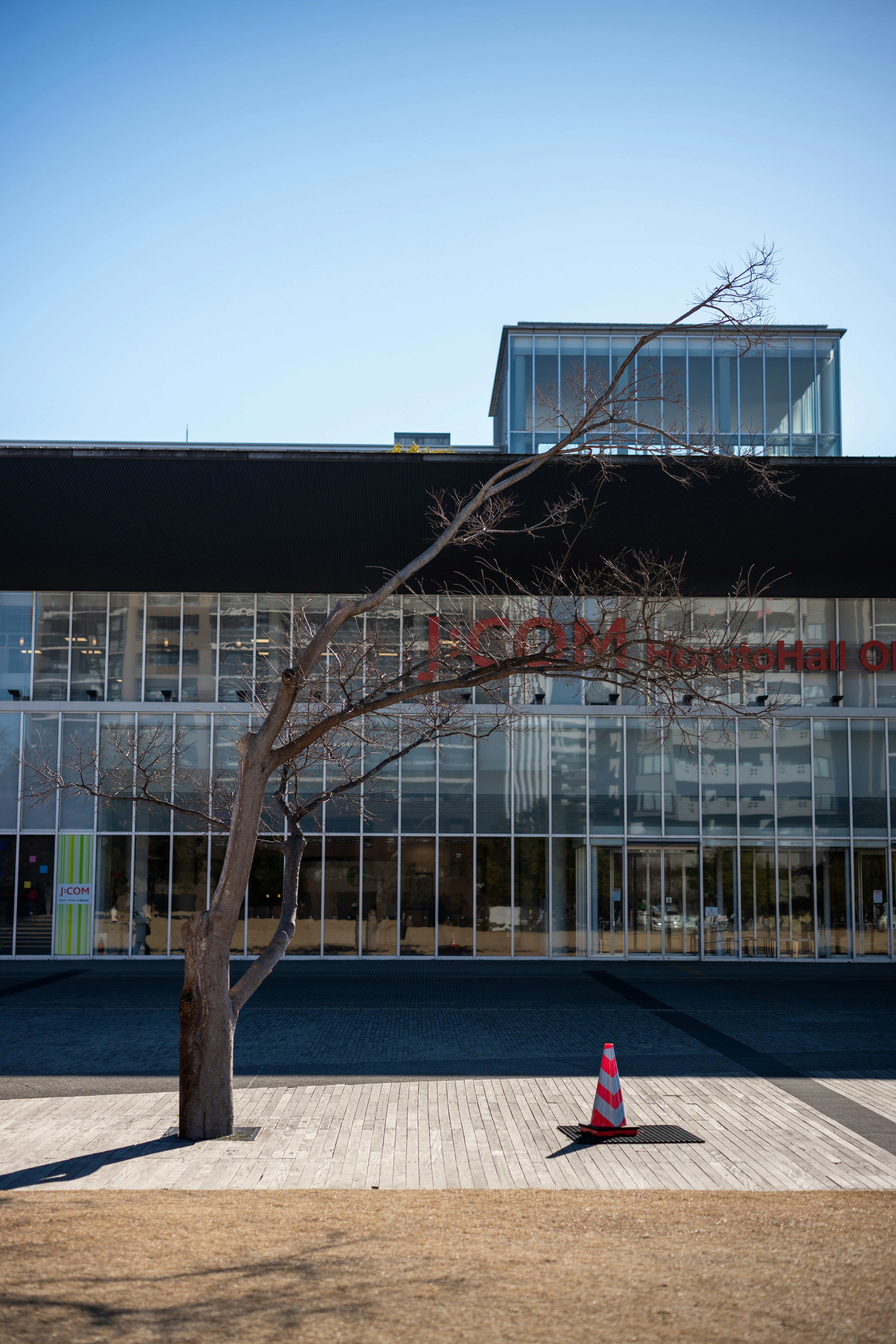 Modern building with a bare tree and traffic cone.