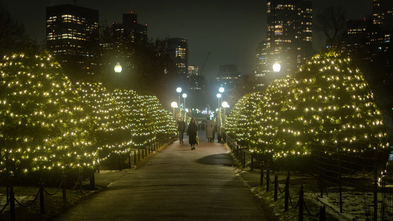 A park pathway lined with trees wrapped in holiday lights, with a city skyline glowing in the background at night