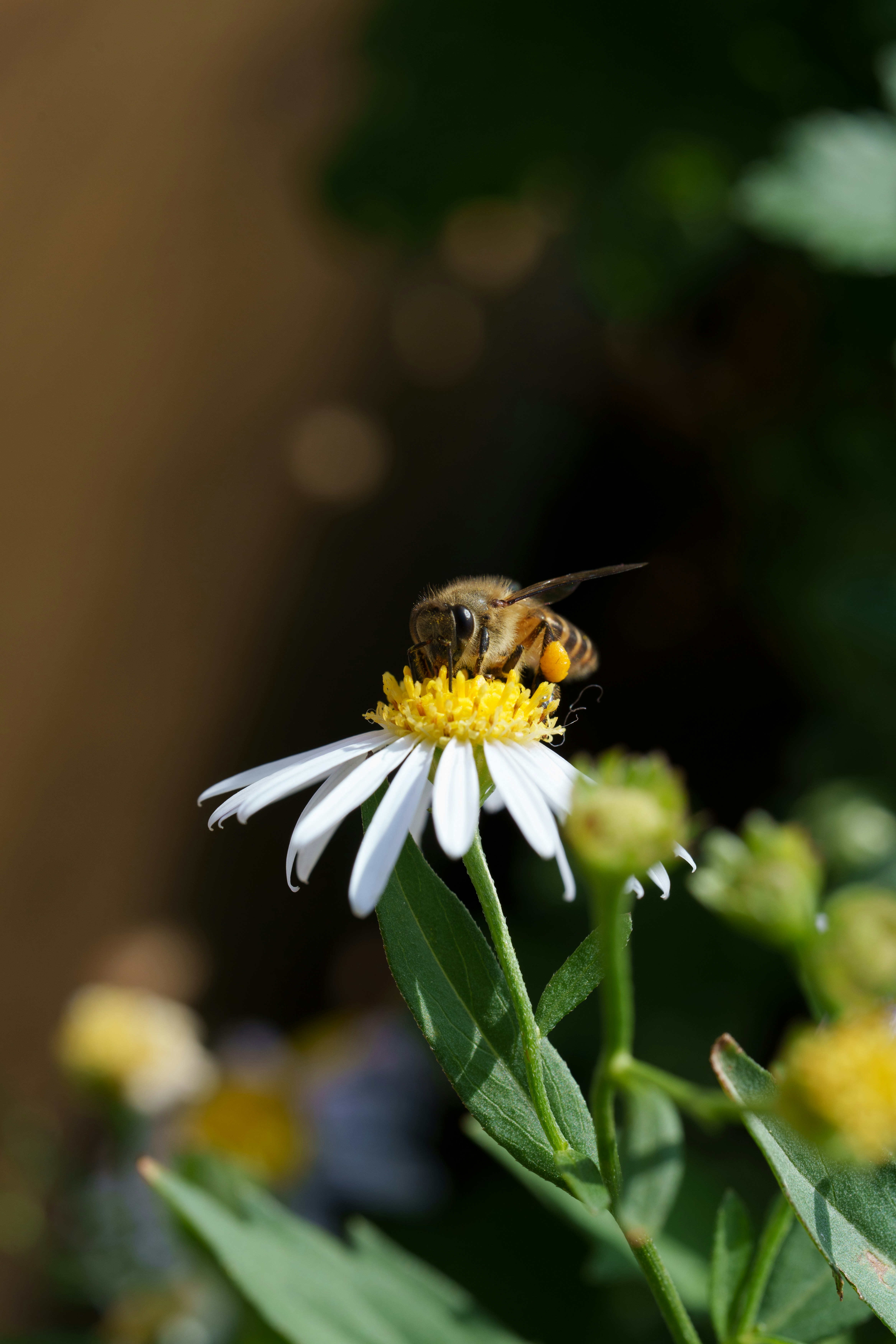 Photo by msz010dzeta