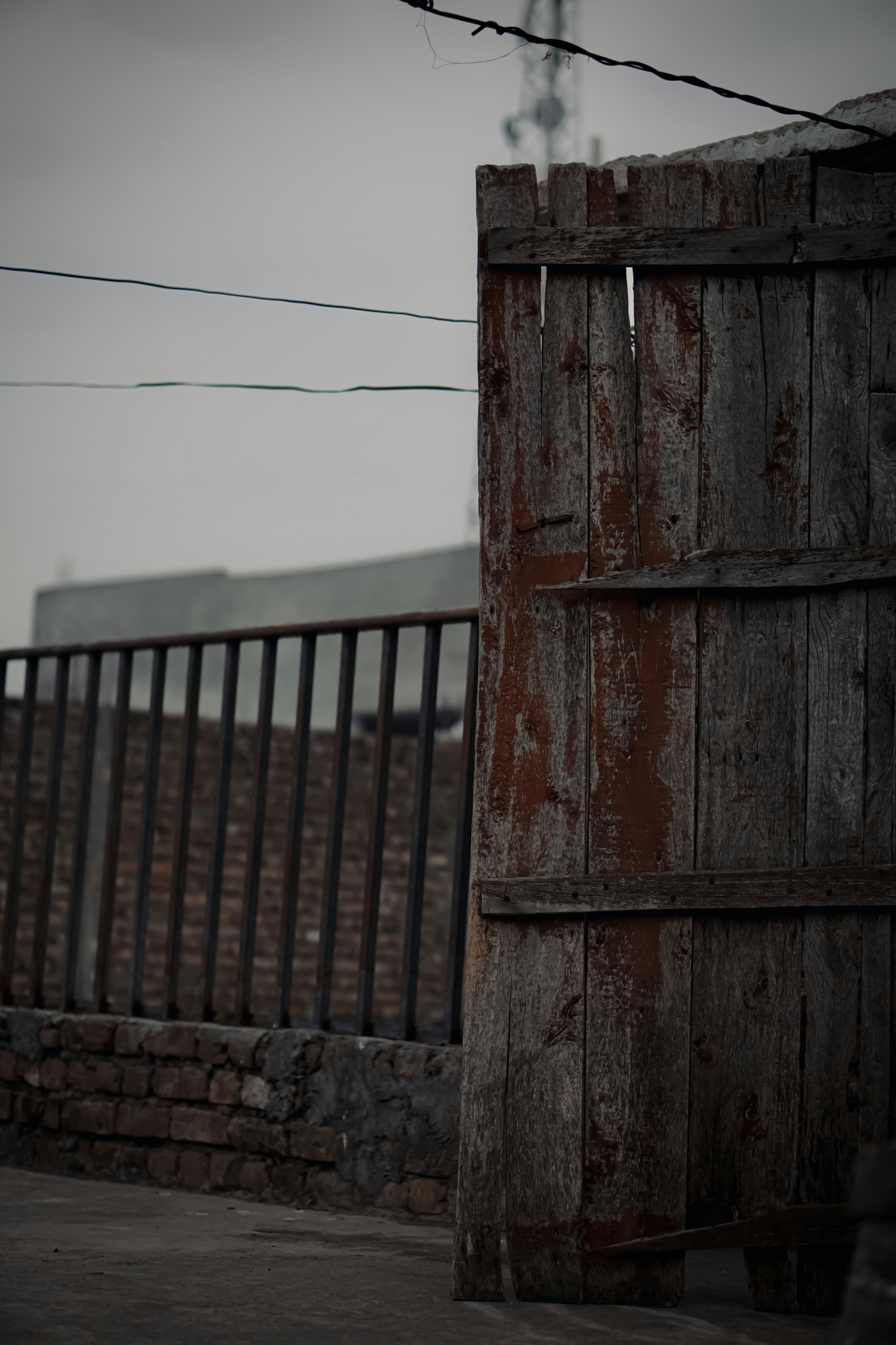 Photo by zeesha_clicks