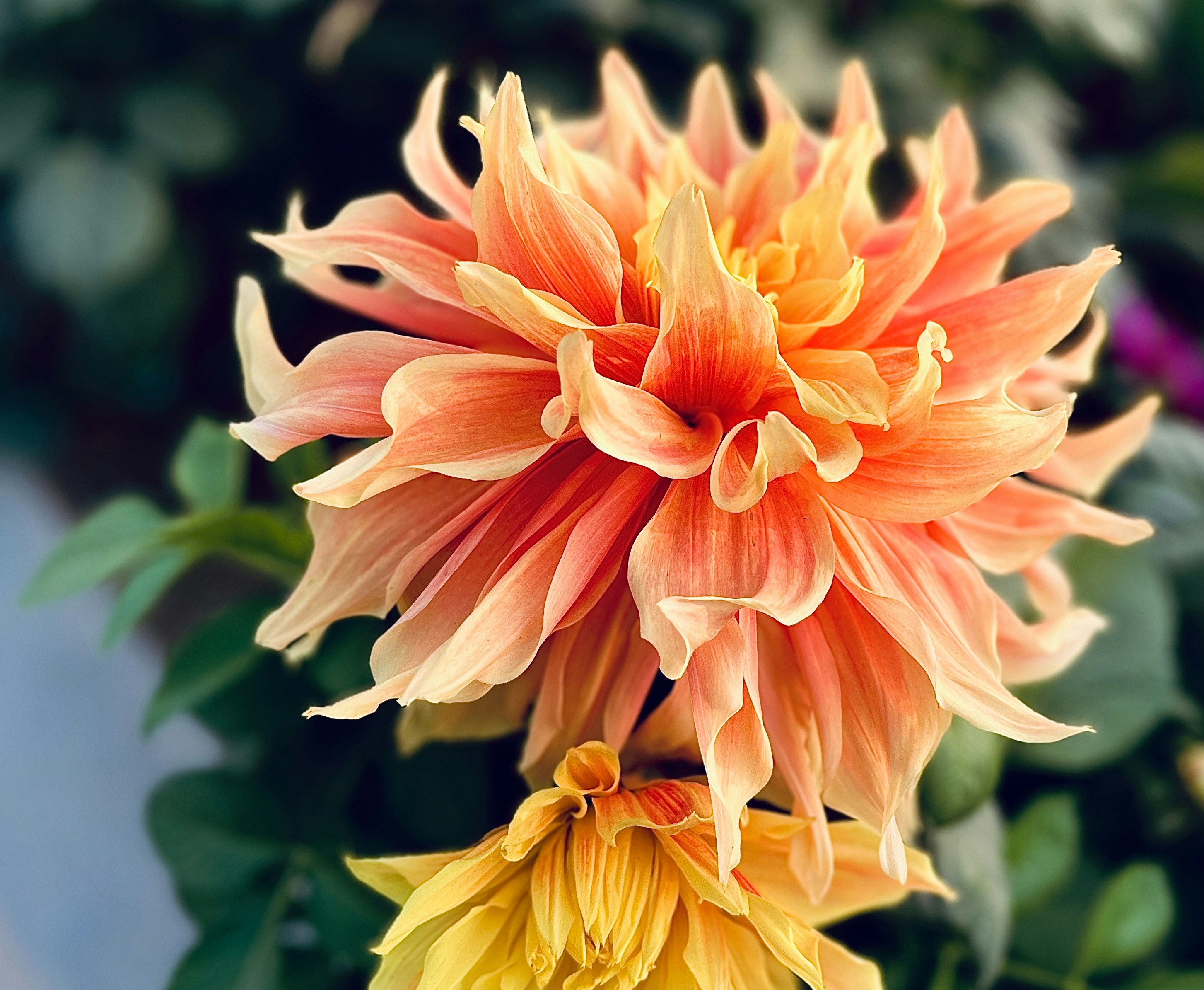 Photo by johnnysdesignlab