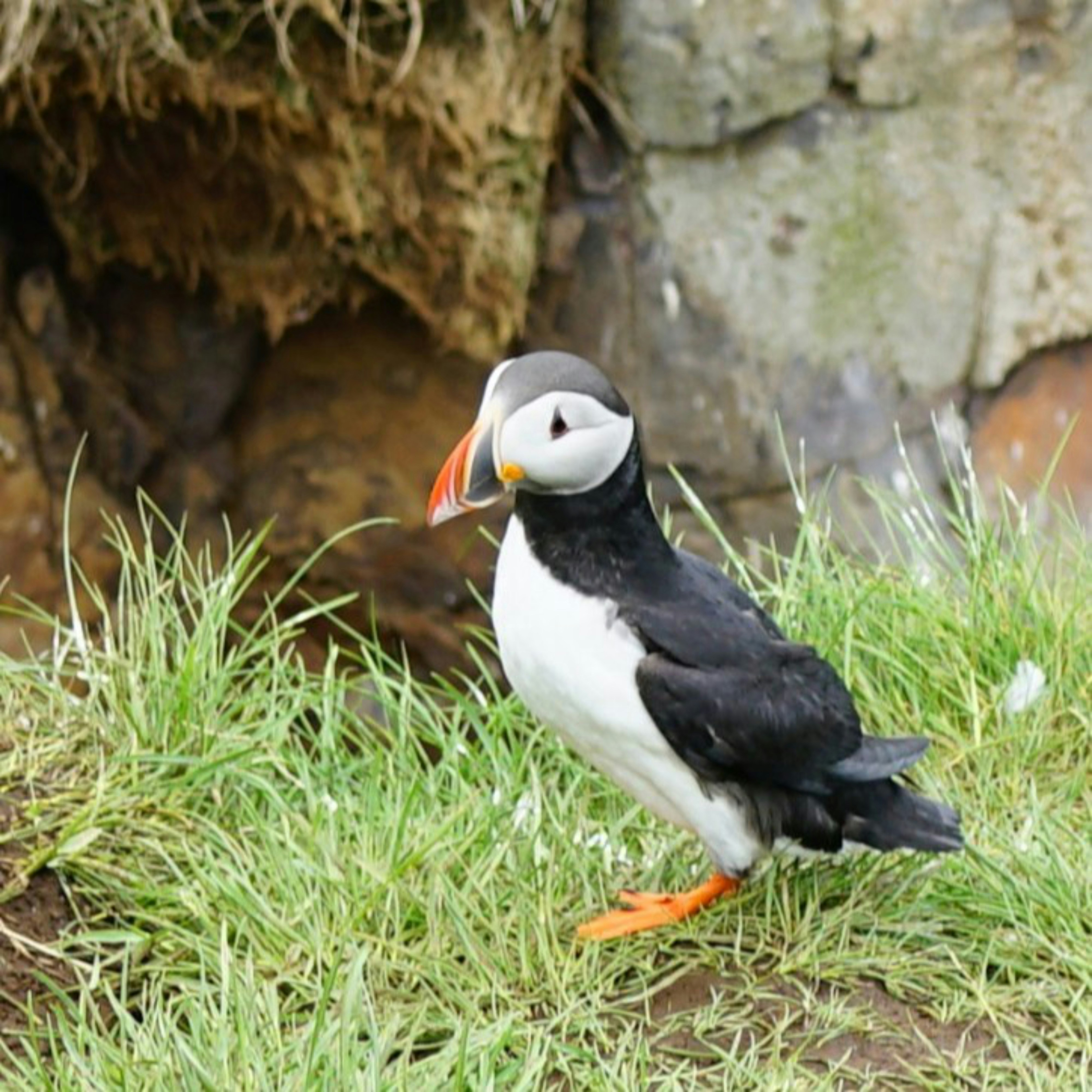 Photo by reflectnaturestudio