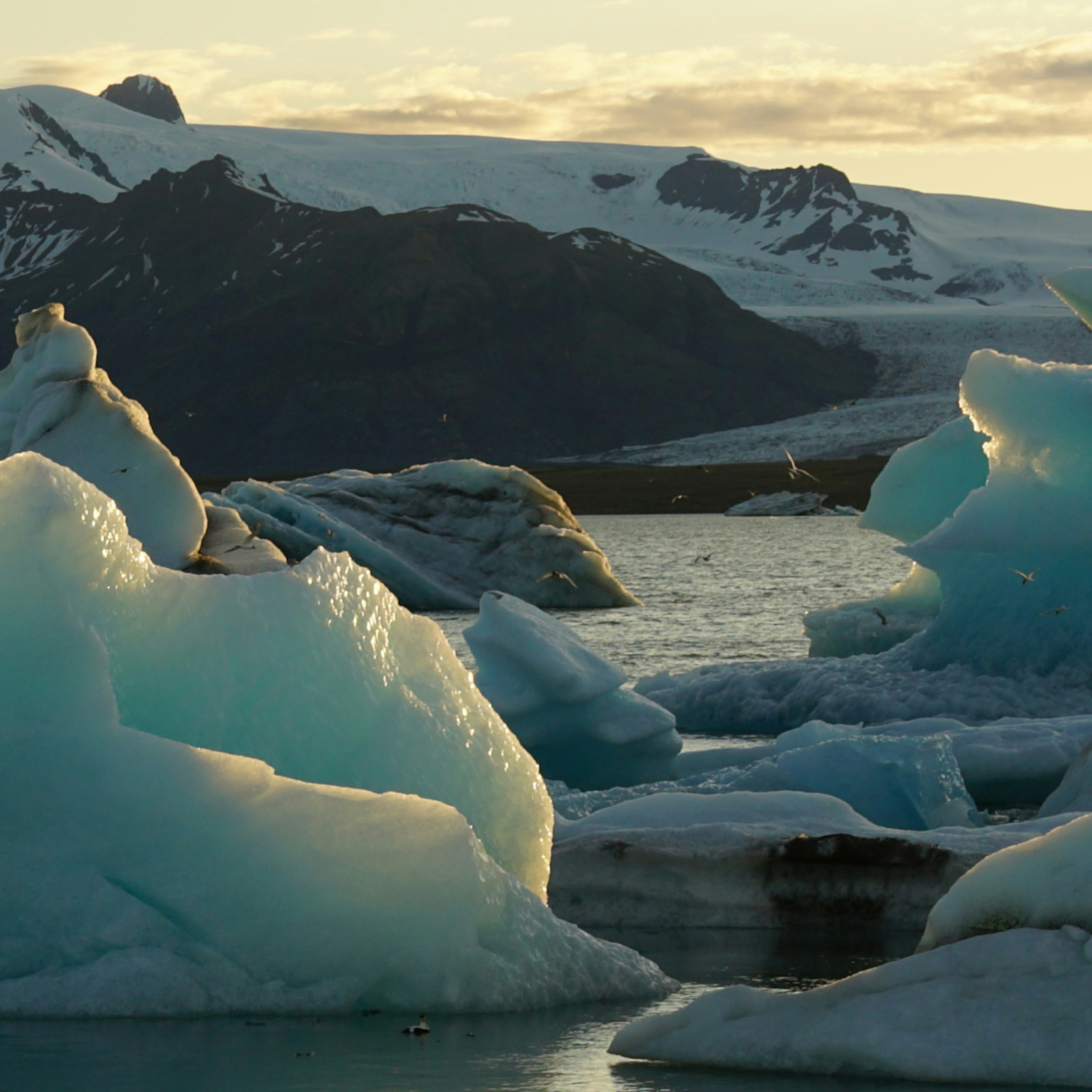 Icebergs floating in a glacial lagoon with mountains behind