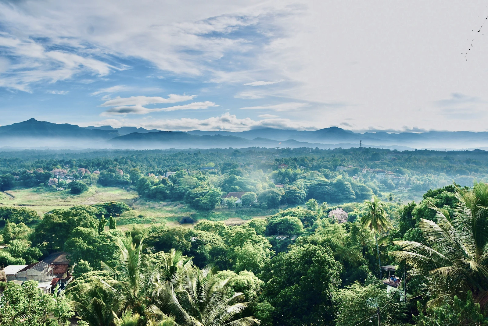 Capella Ubud