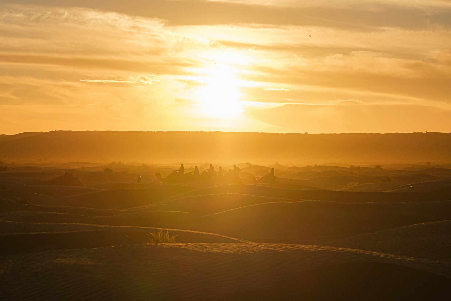 Golden sun setting over rolling hills at dusk