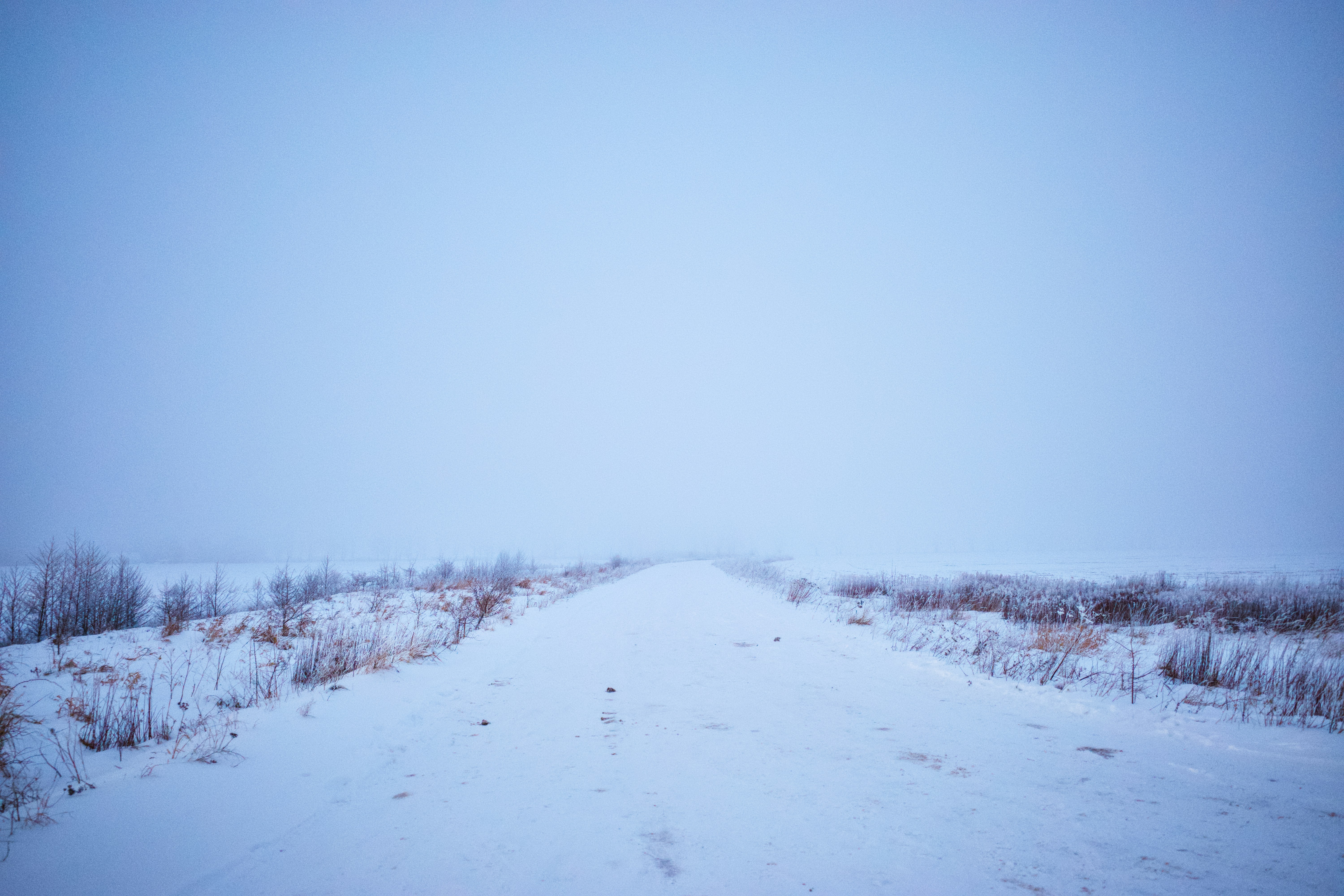 Snowy path through a frosted landscape under a pale sky