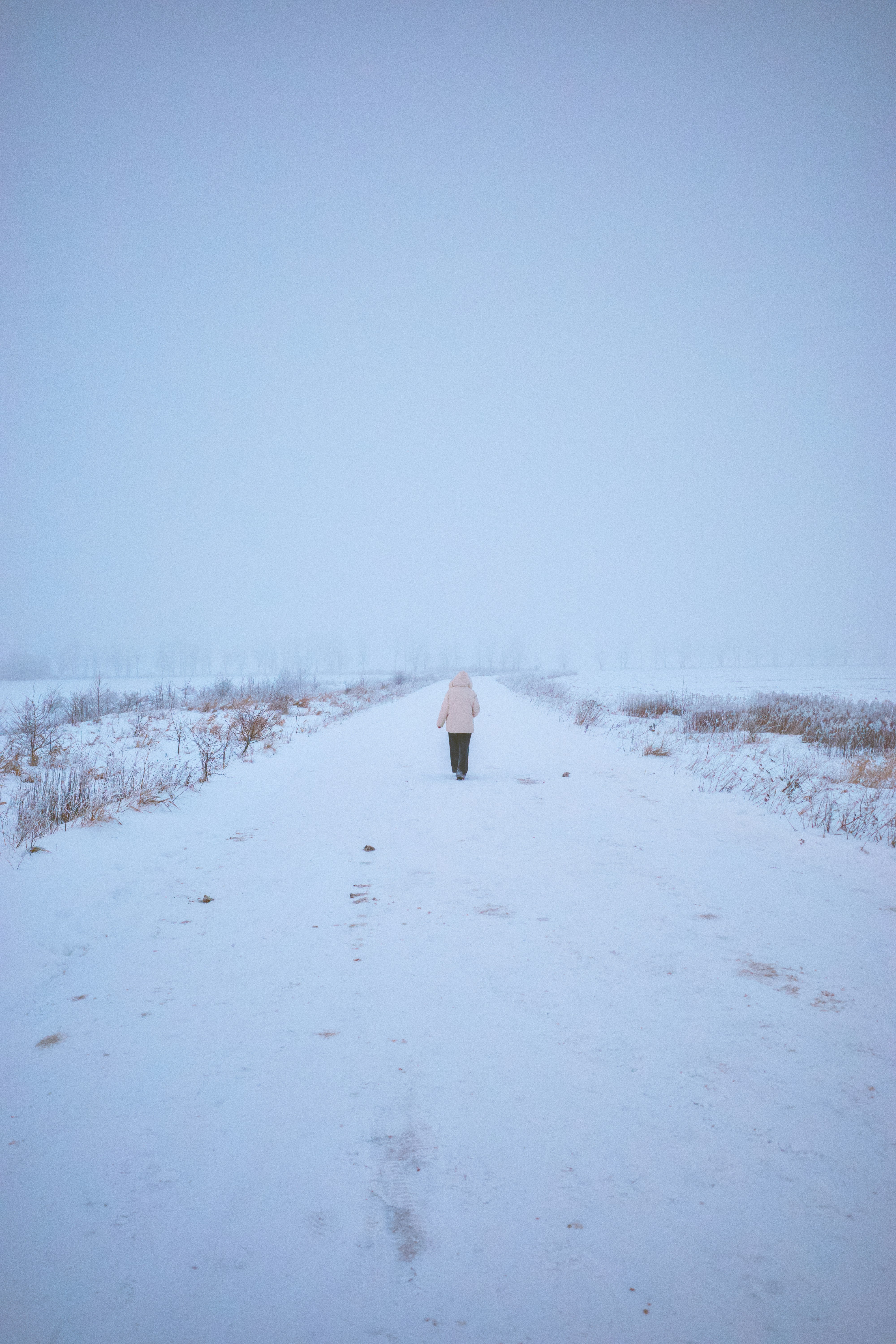 A person walks down a snowy path in winter.