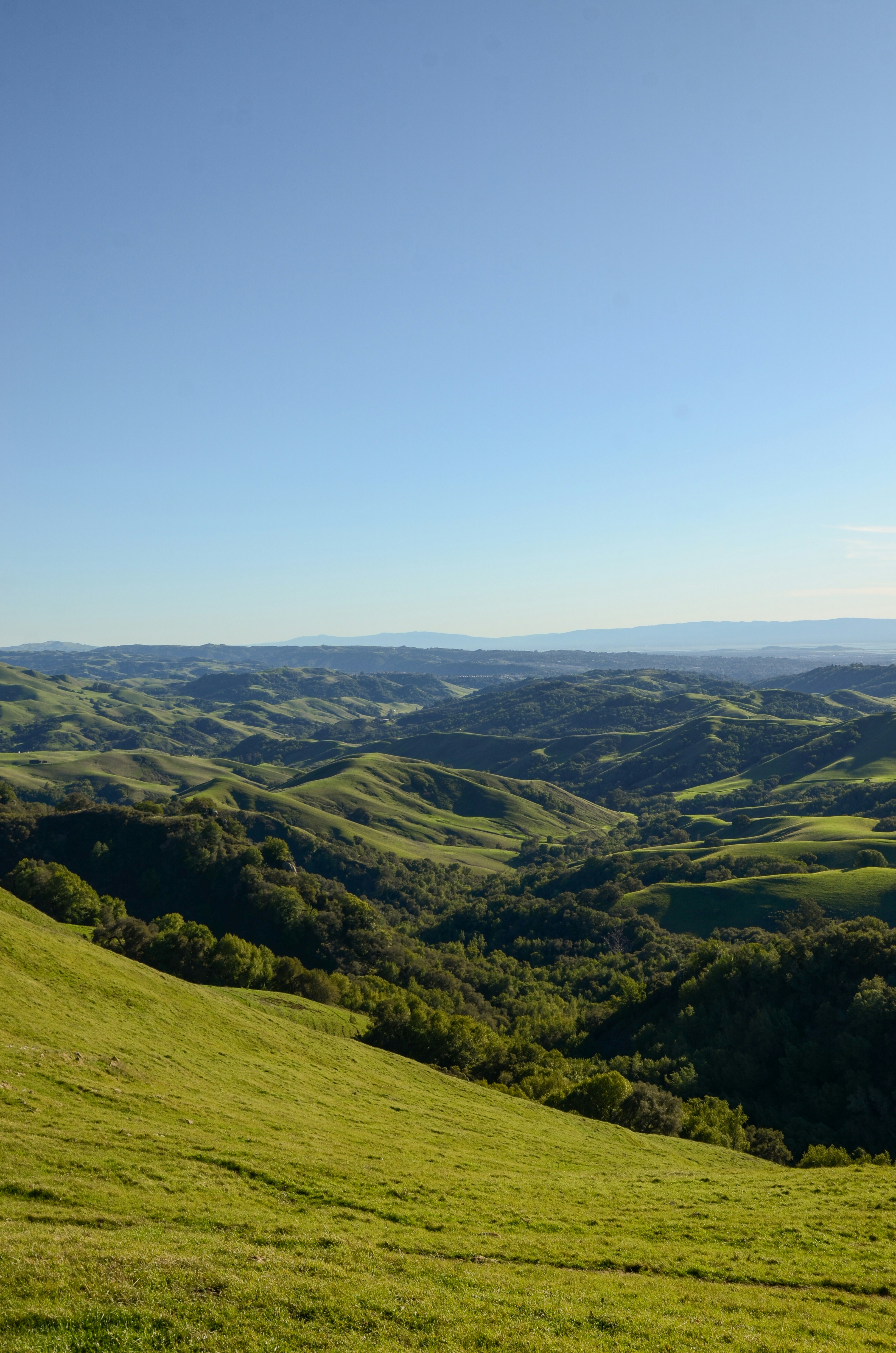 Photo by akshay_madivanan