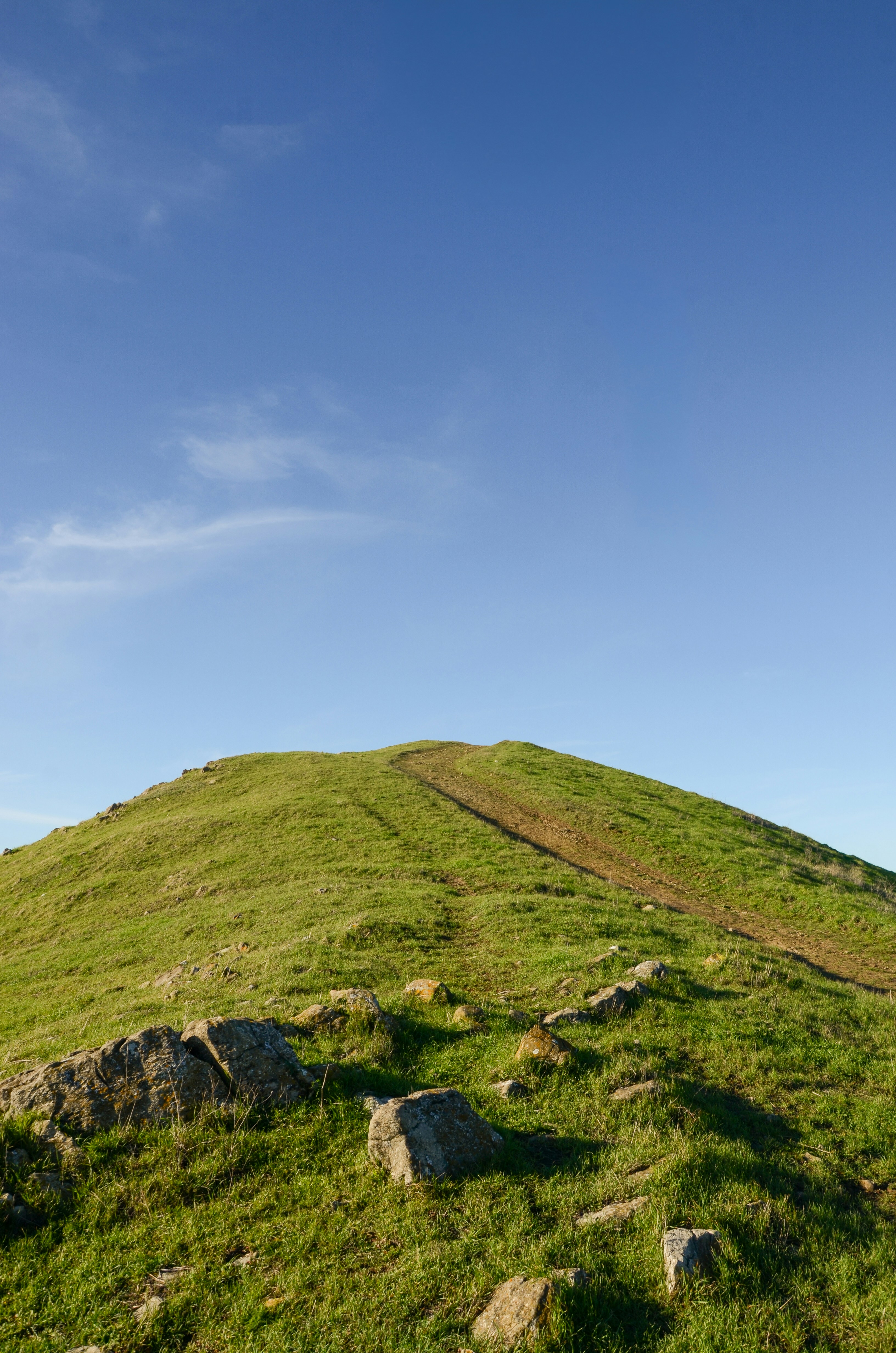 Photo by akshay_madivanan