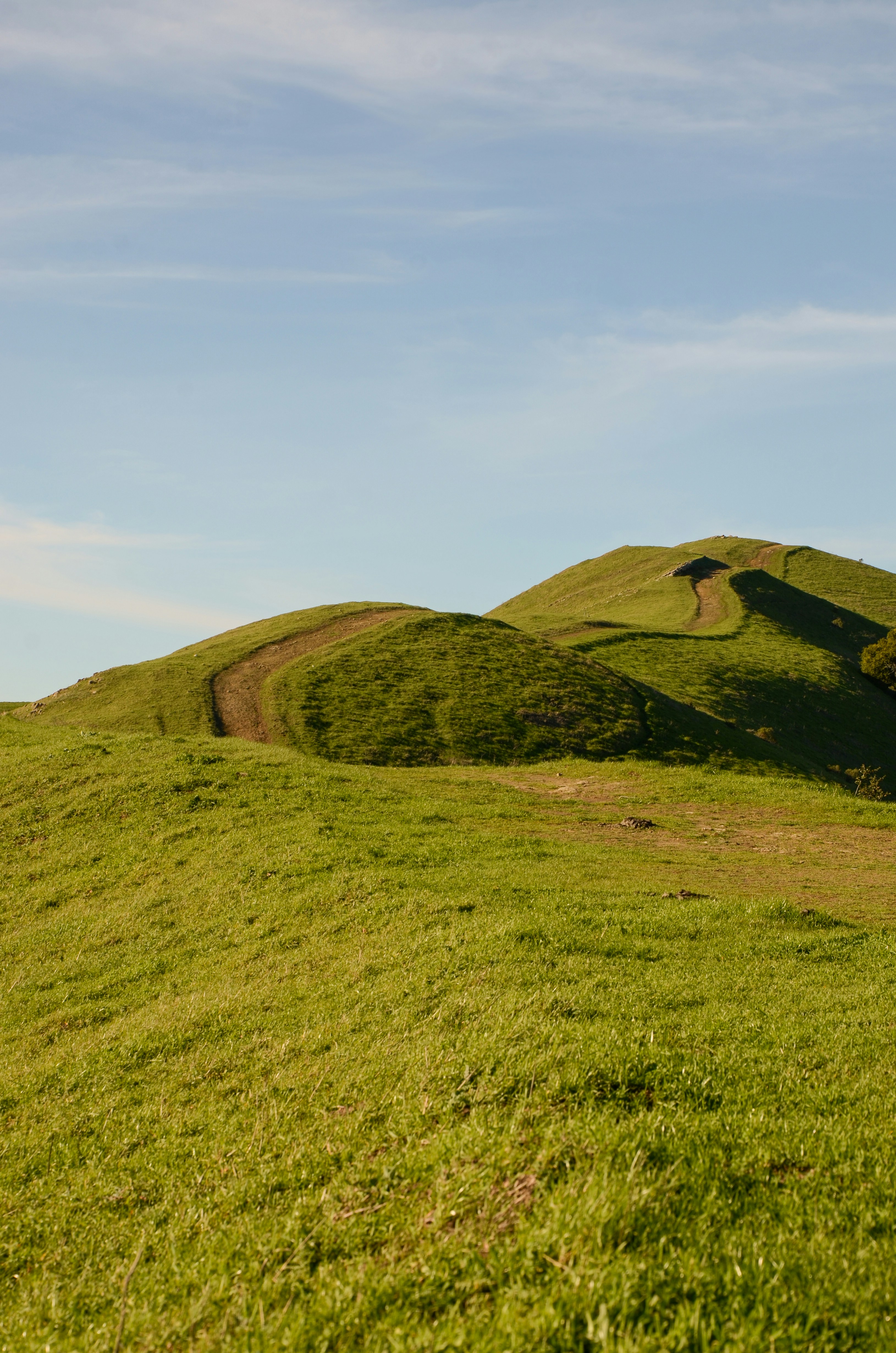 Photo by akshay_madivanan