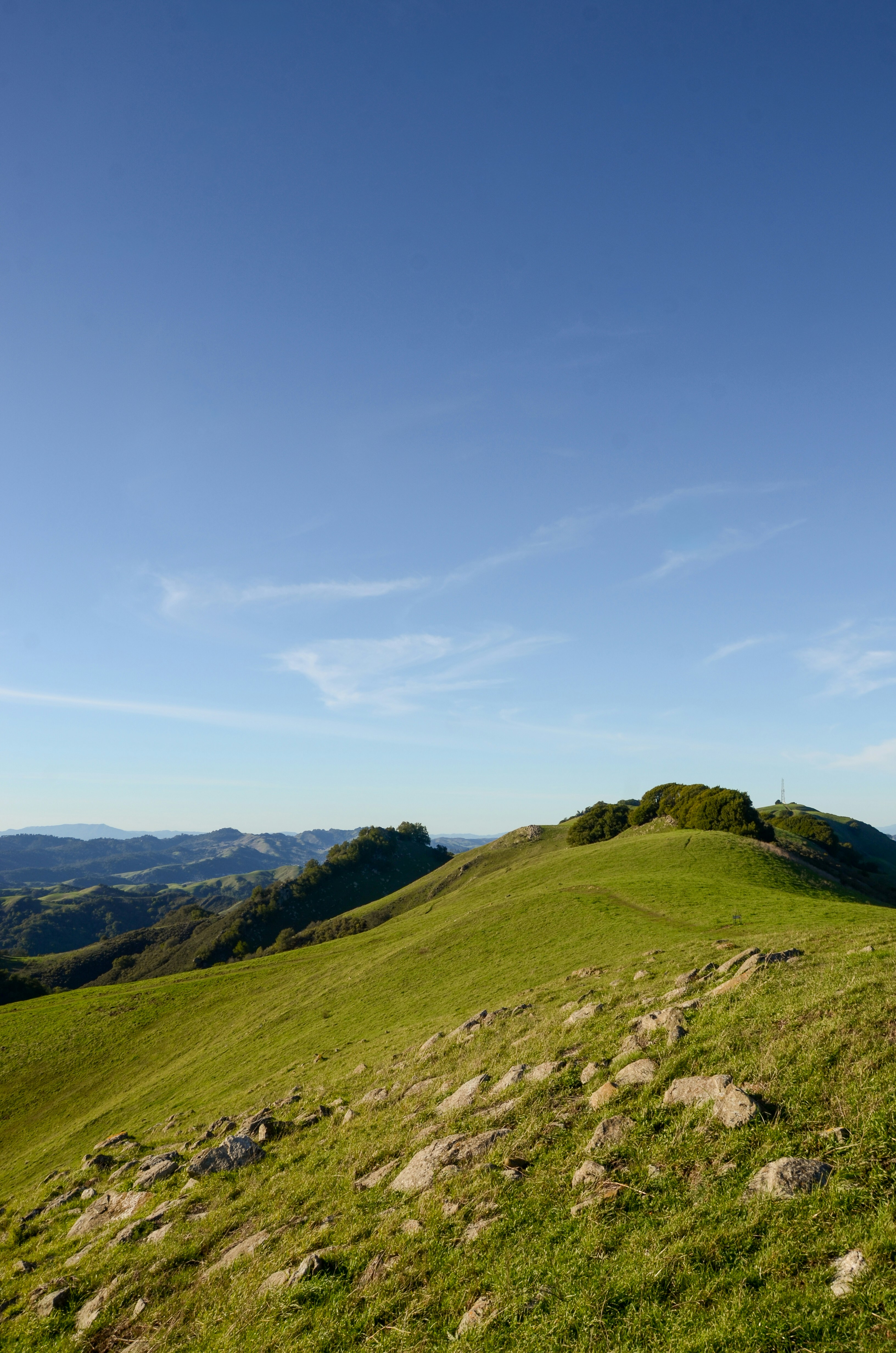 Photo by akshay_madivanan