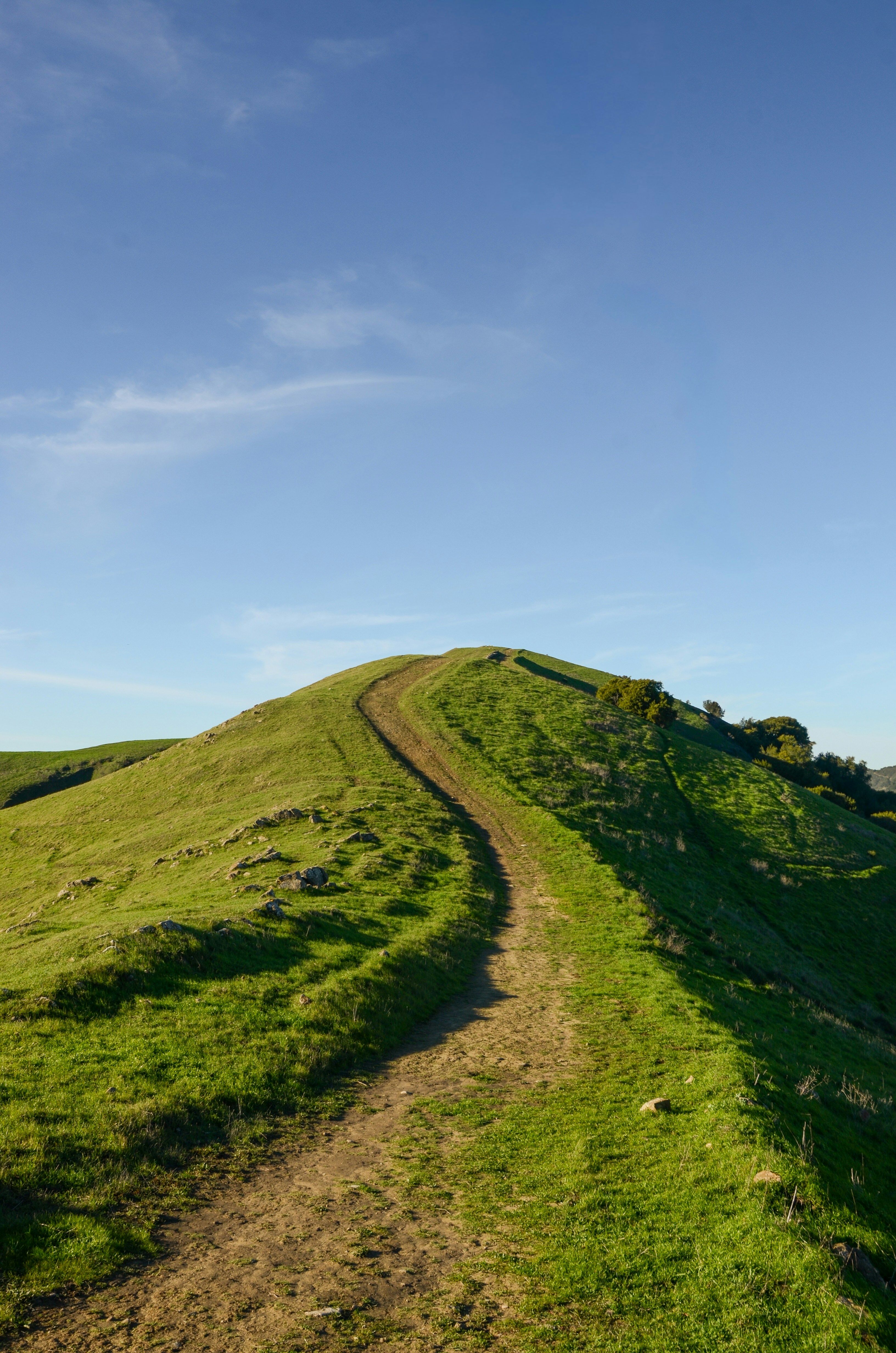 Photo by akshay_madivanan