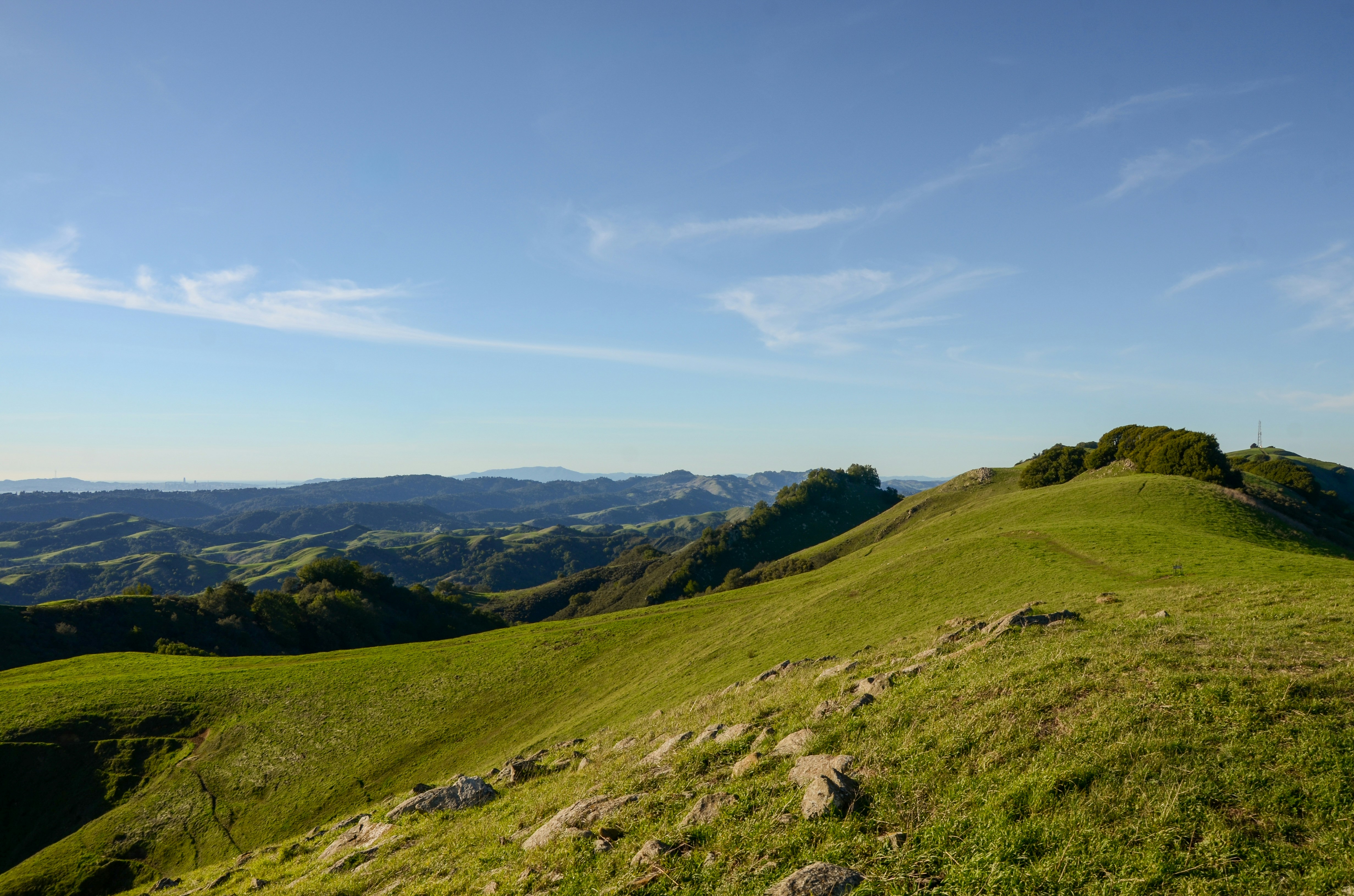 Photo by akshay_madivanan